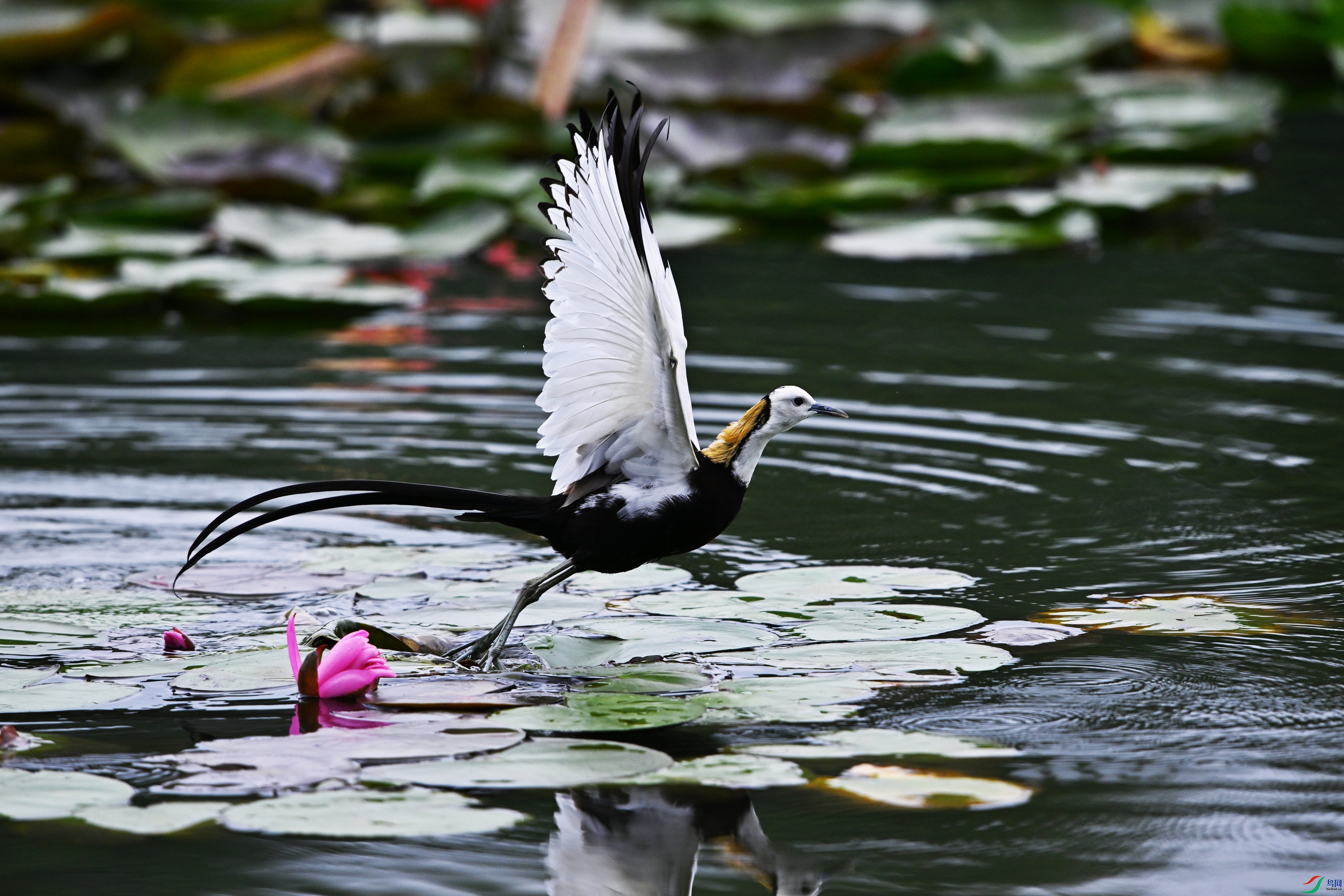 DSC_5944_2.jpg