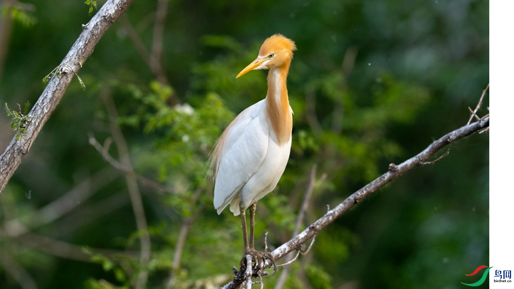 DSC_1352.jpg