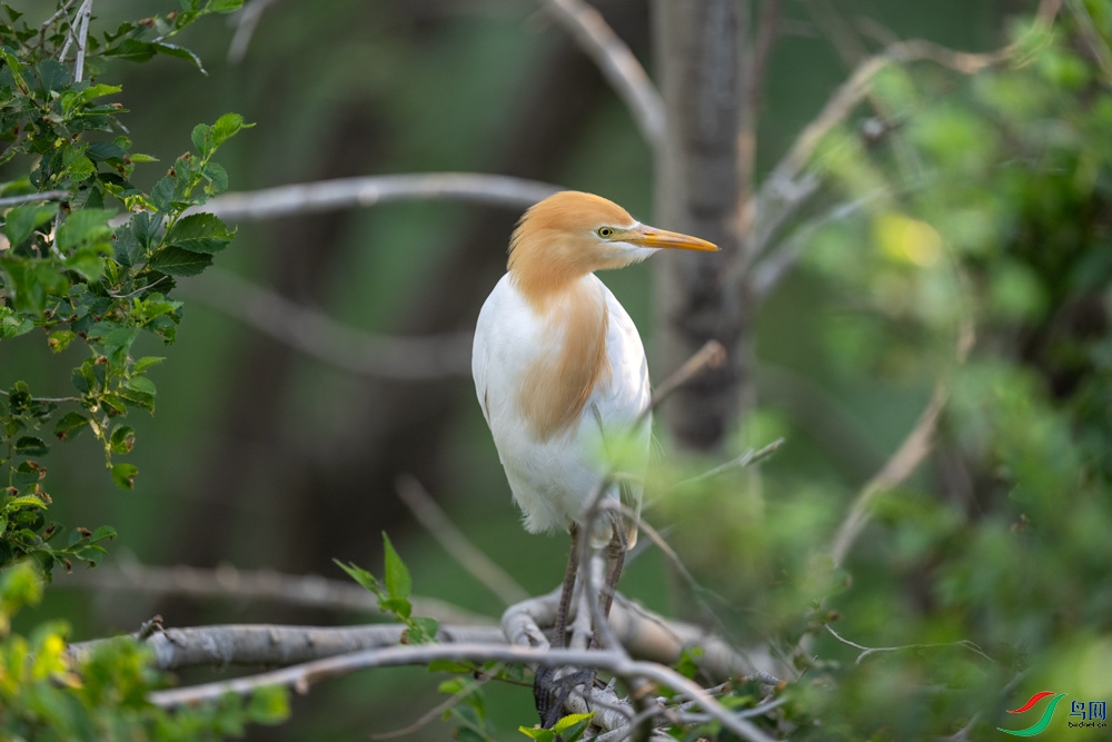 DSC_3630.jpg