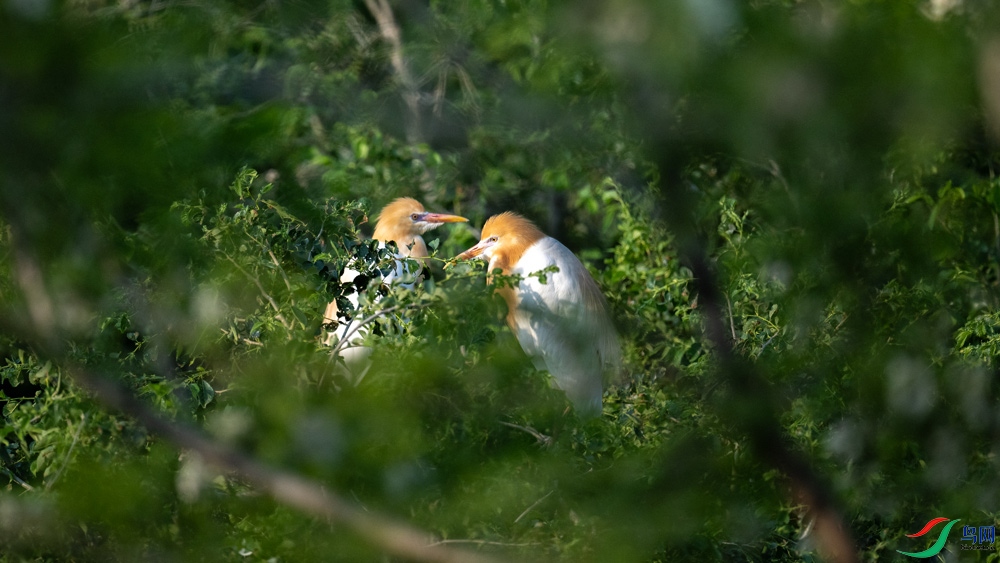 DSC_3693.jpg