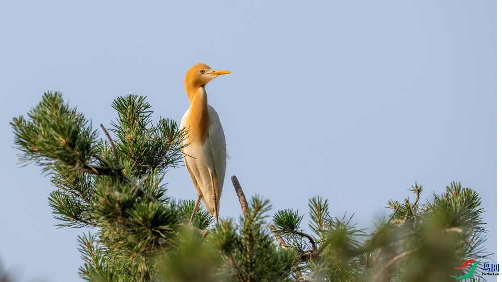 DSC_1774.jpg
