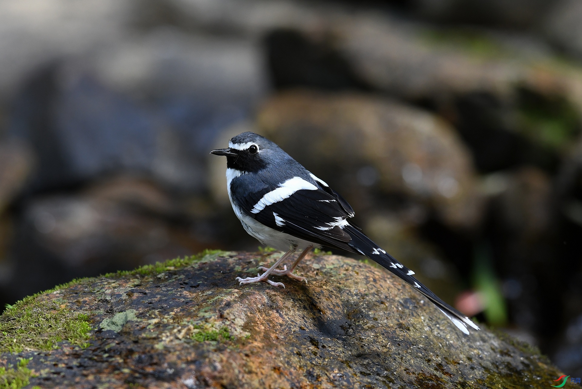 DSC_5326.jpg
