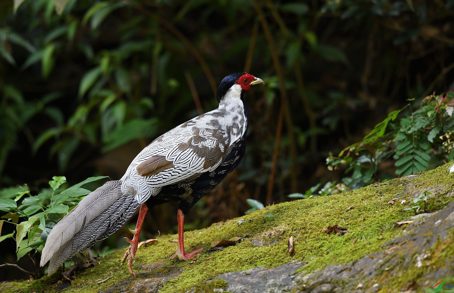 DSC_5319.jpg