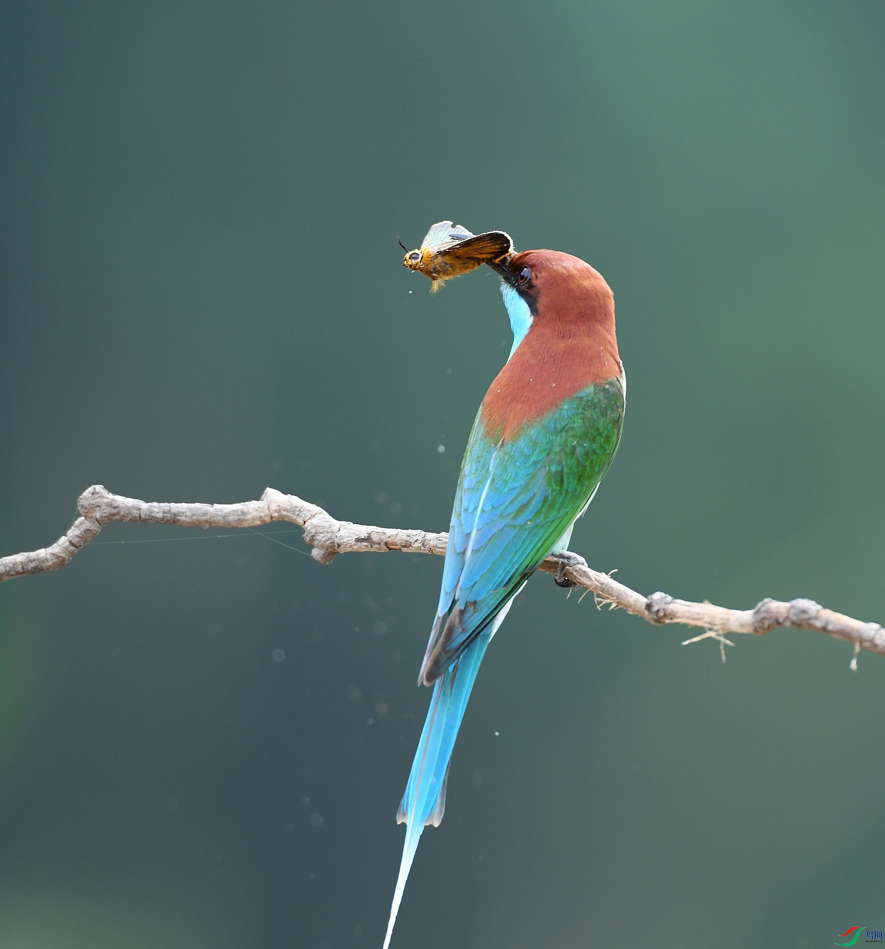 DSC_5276.jpg