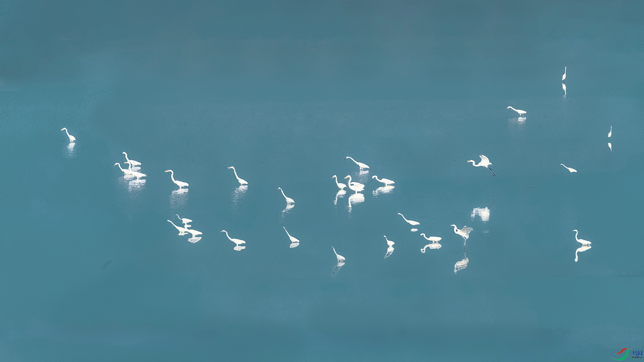 ����----ˮ����Ӱ