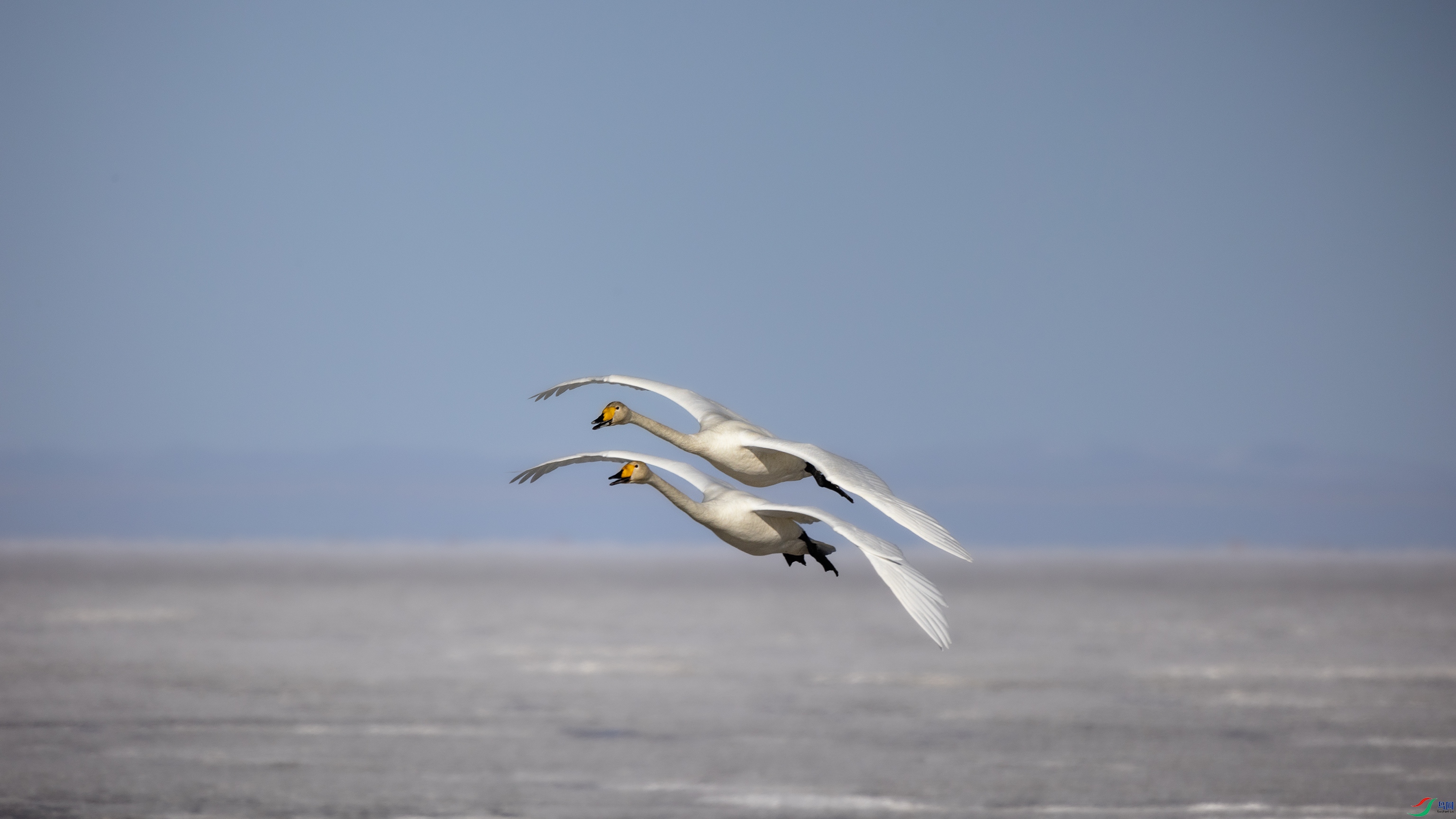 381A7887 ����444444.jpg