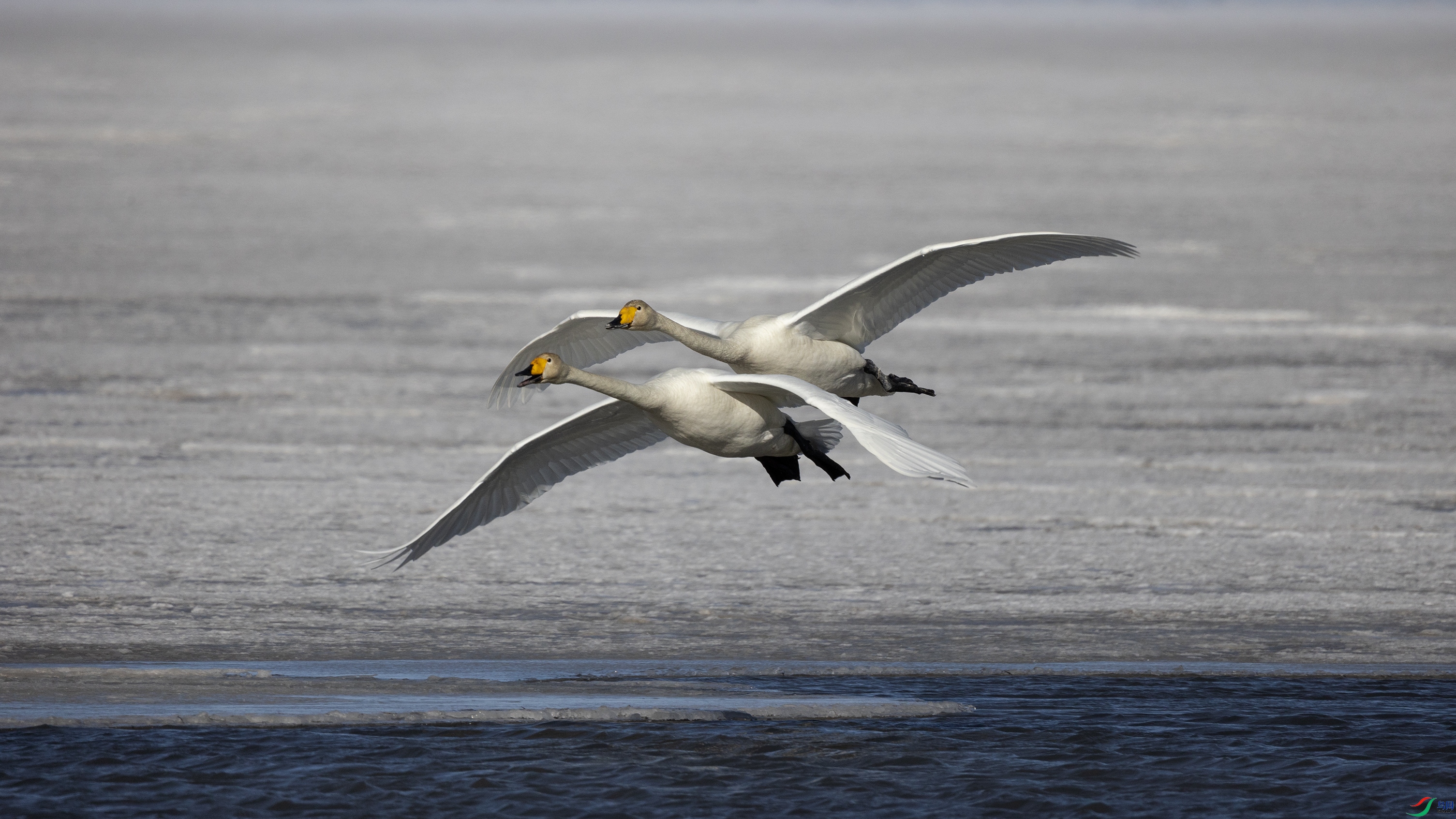 381A7896 ����44444.jpg