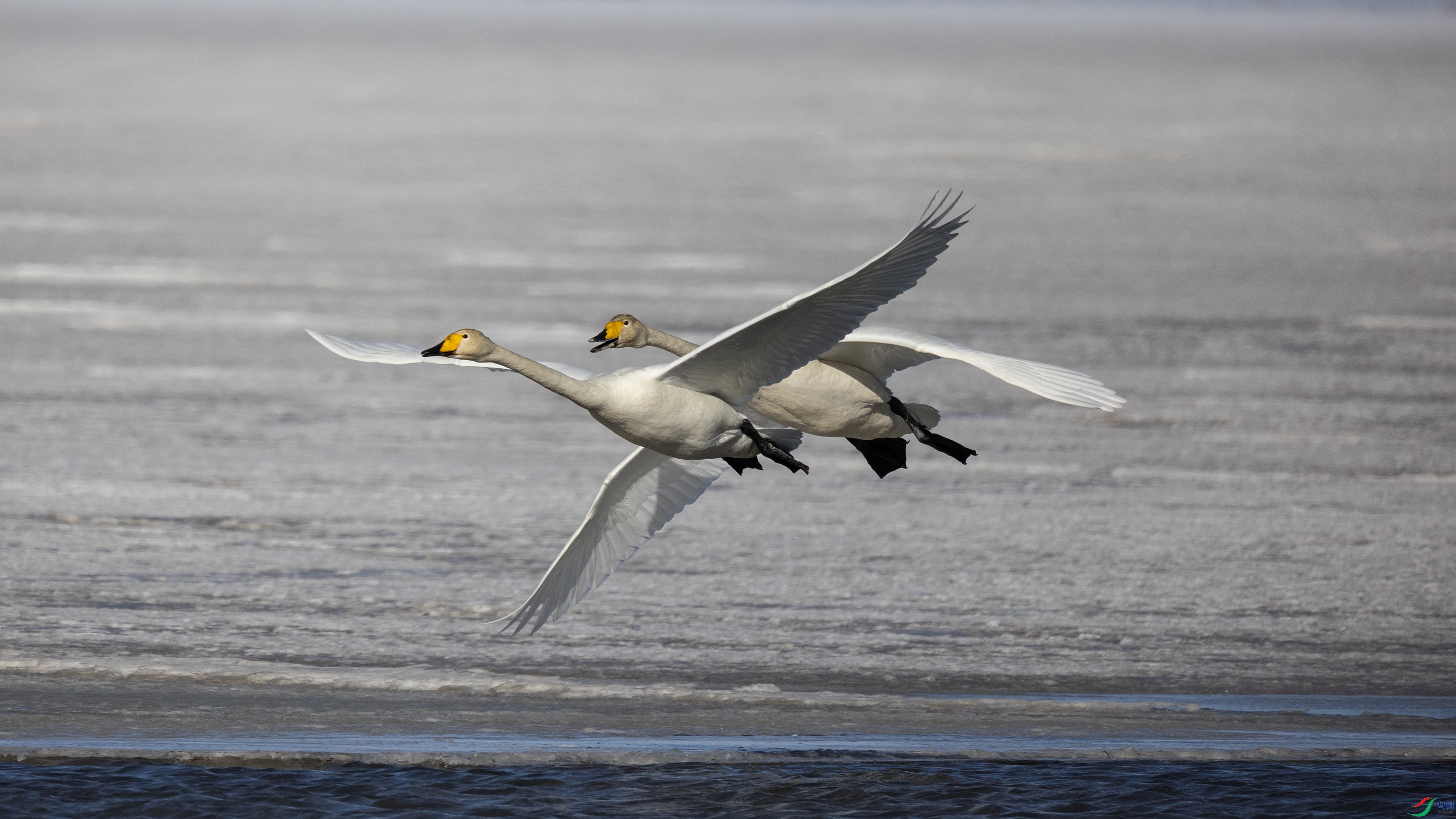 381A7898 ����444444.jpg