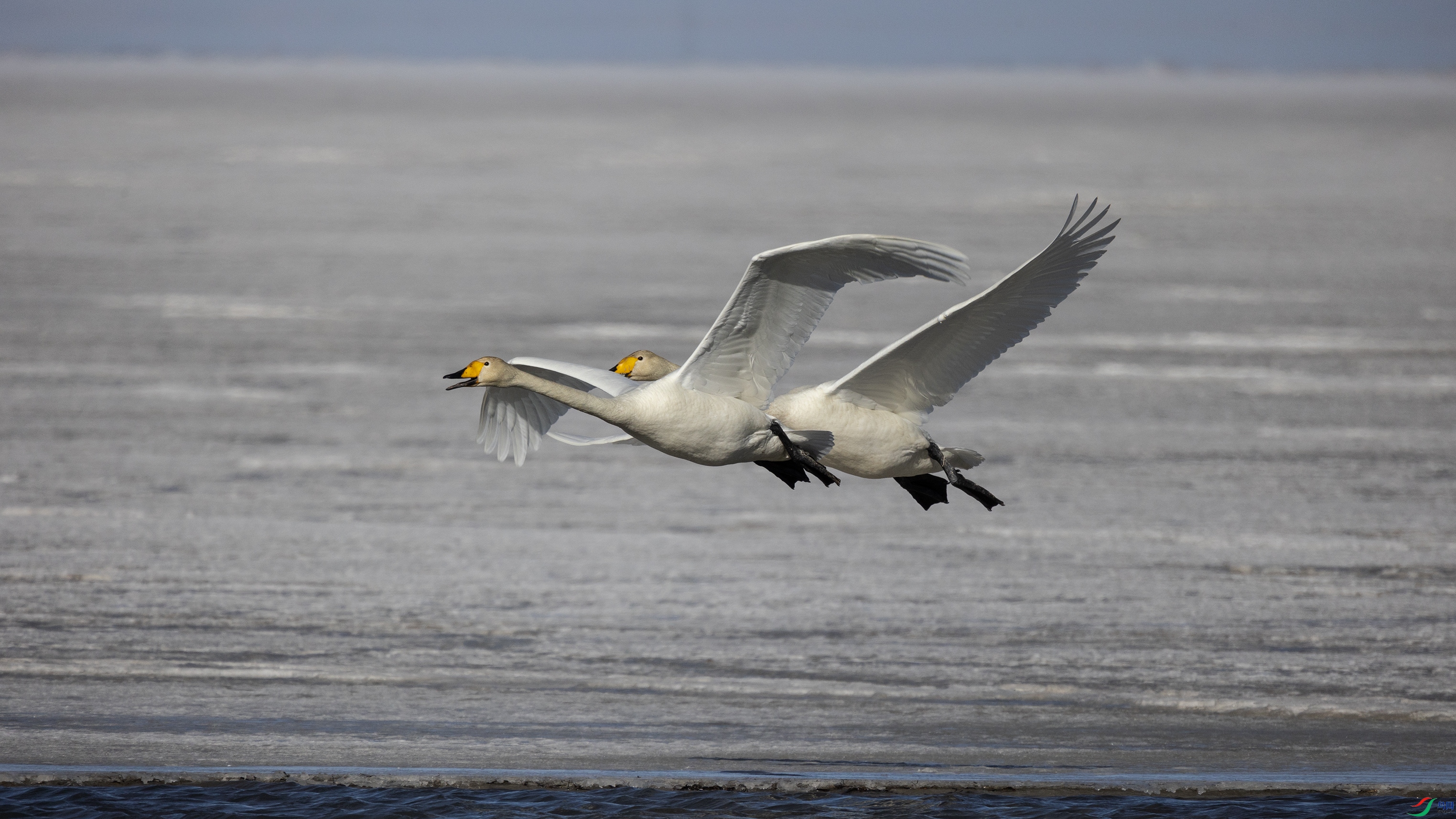 381A7901 ����44444.jpg