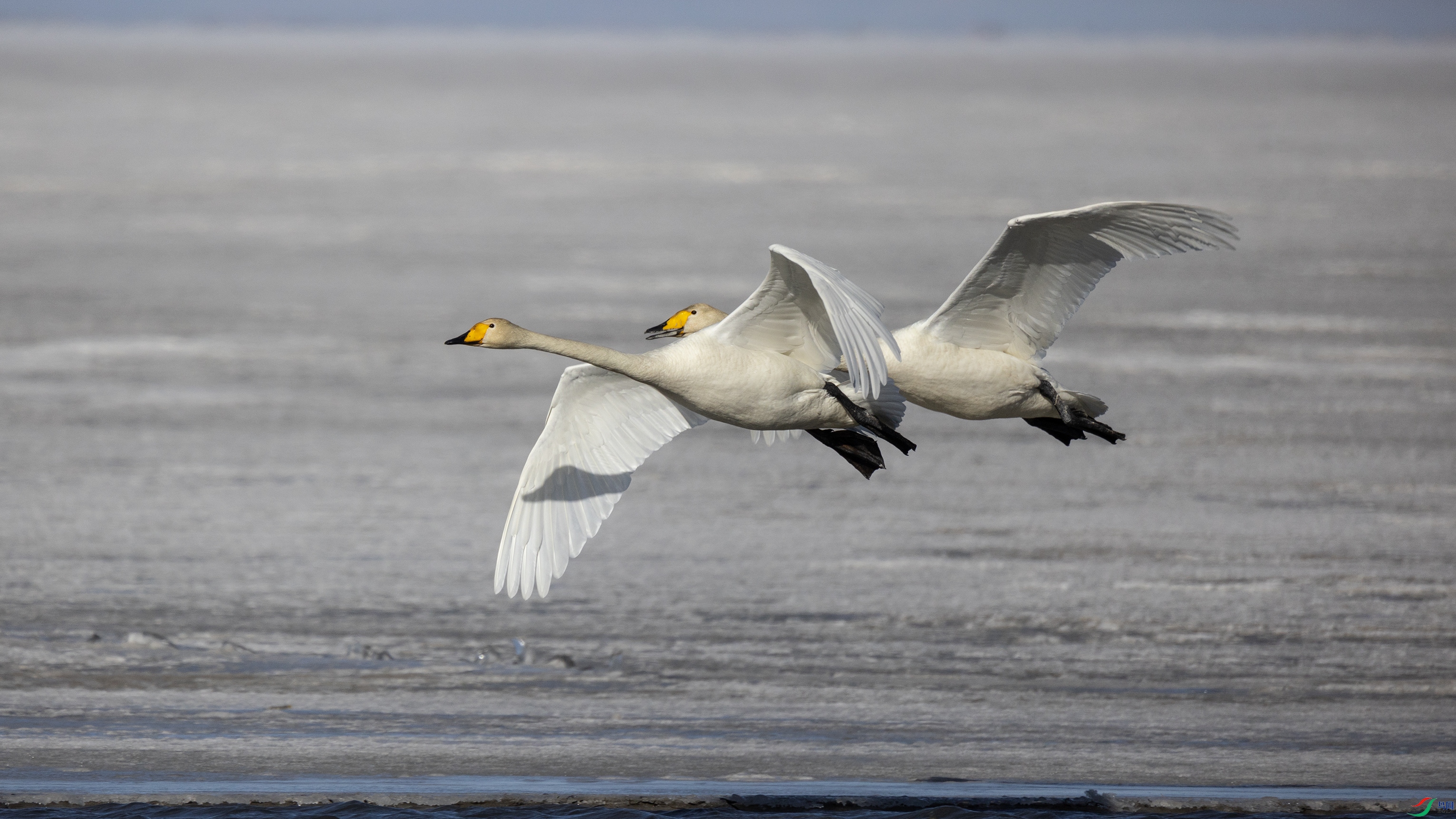 381A7903 ����444444.jpg