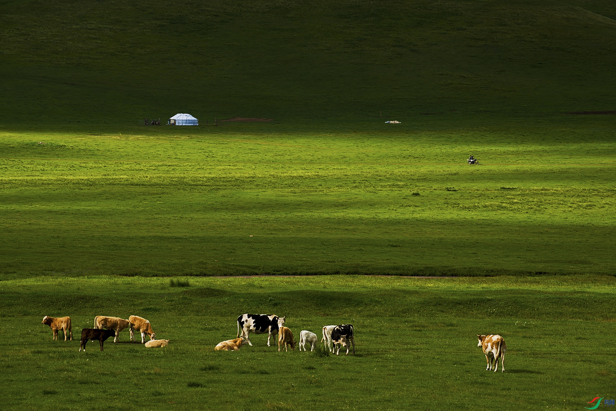 DSC_6541a.jpg