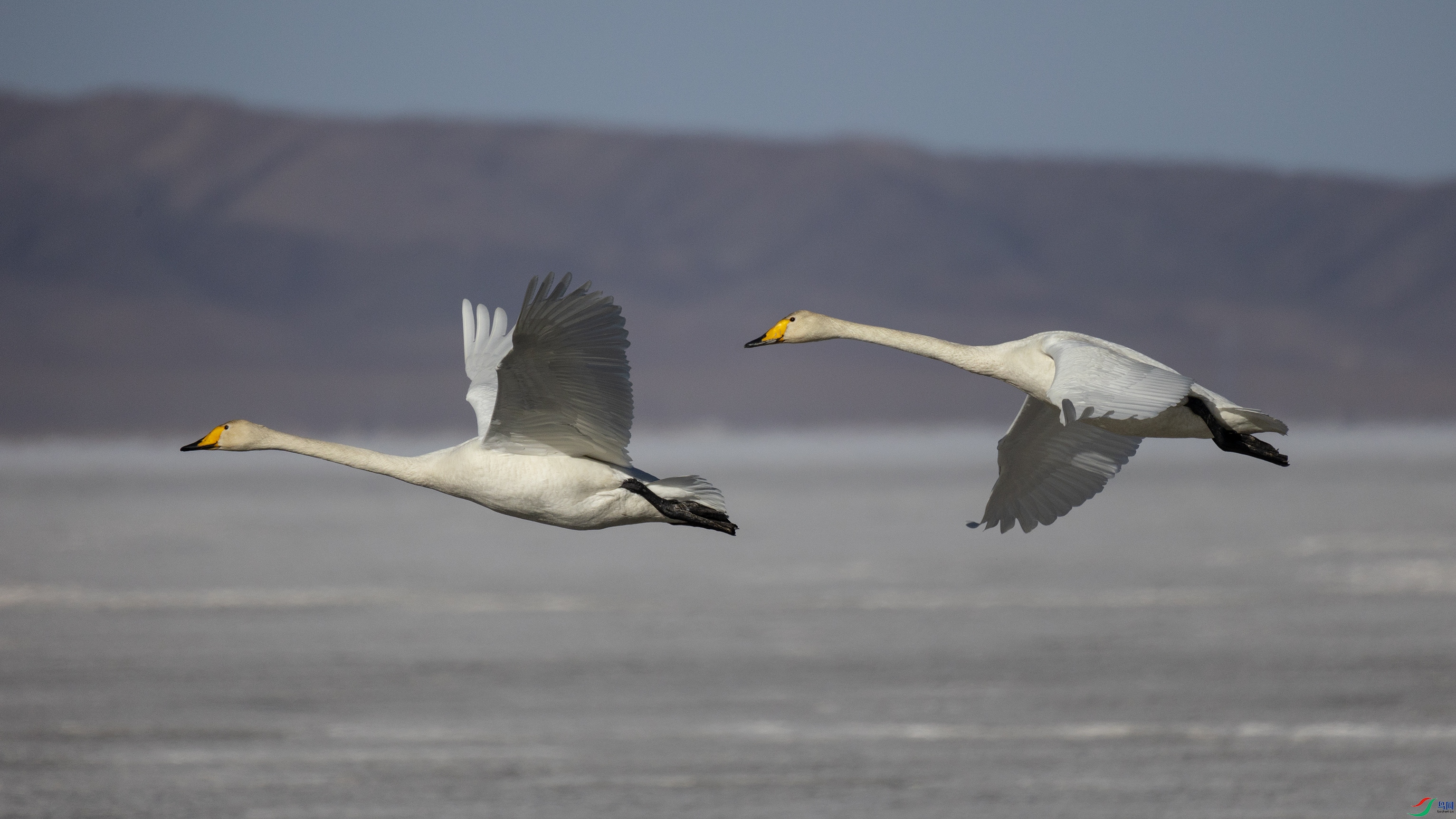 381A7908 ����44444.jpg