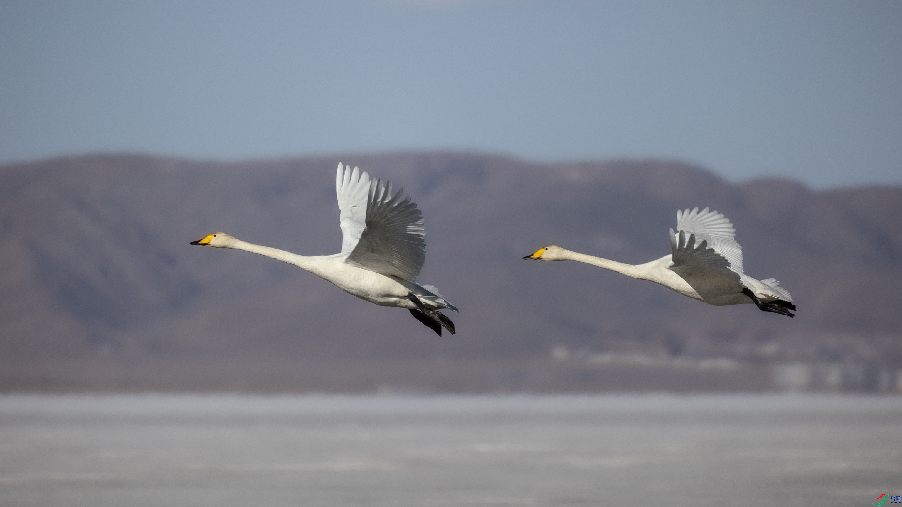 381A7911 ����44444.jpg