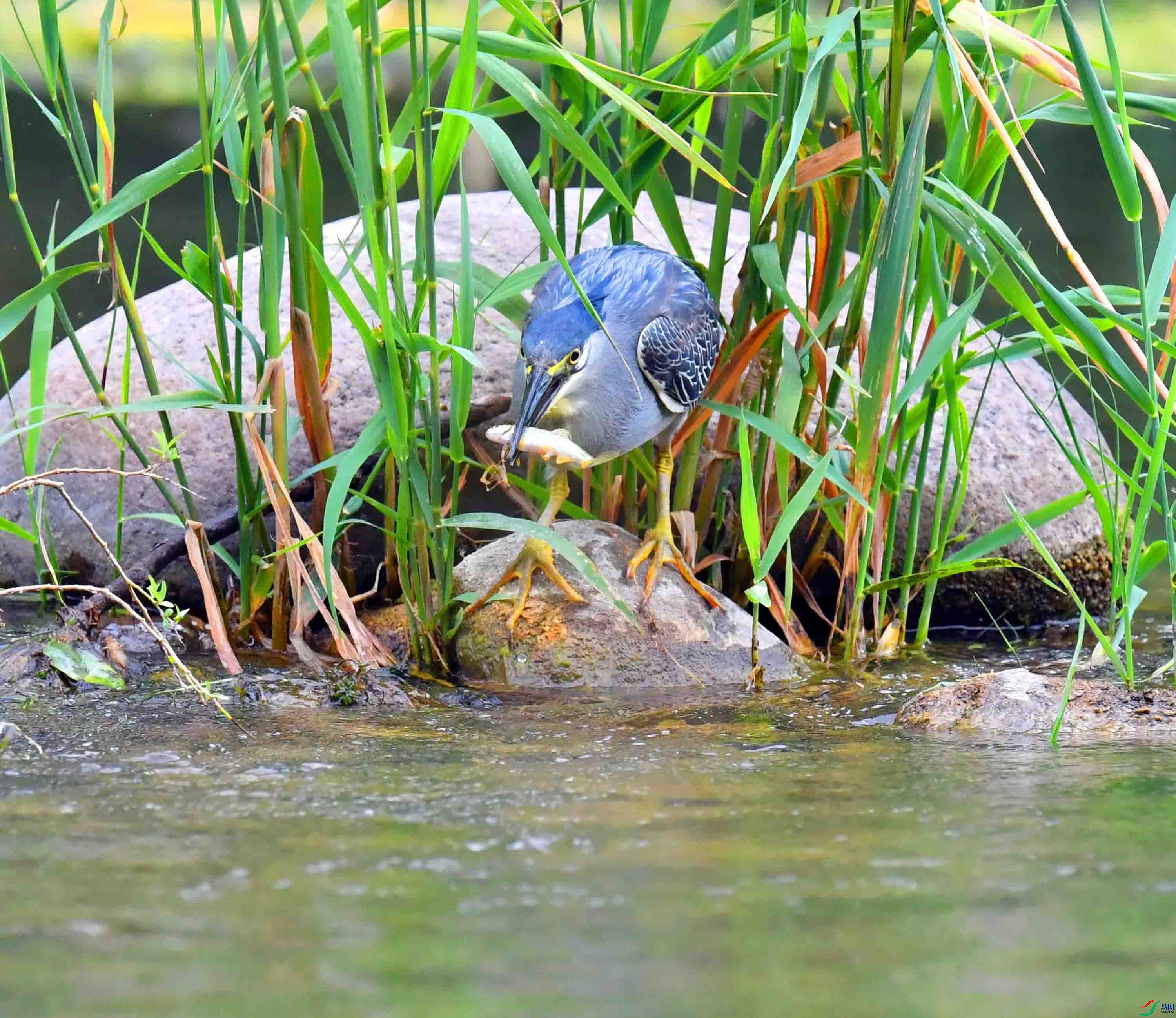DSC_0928.JPG