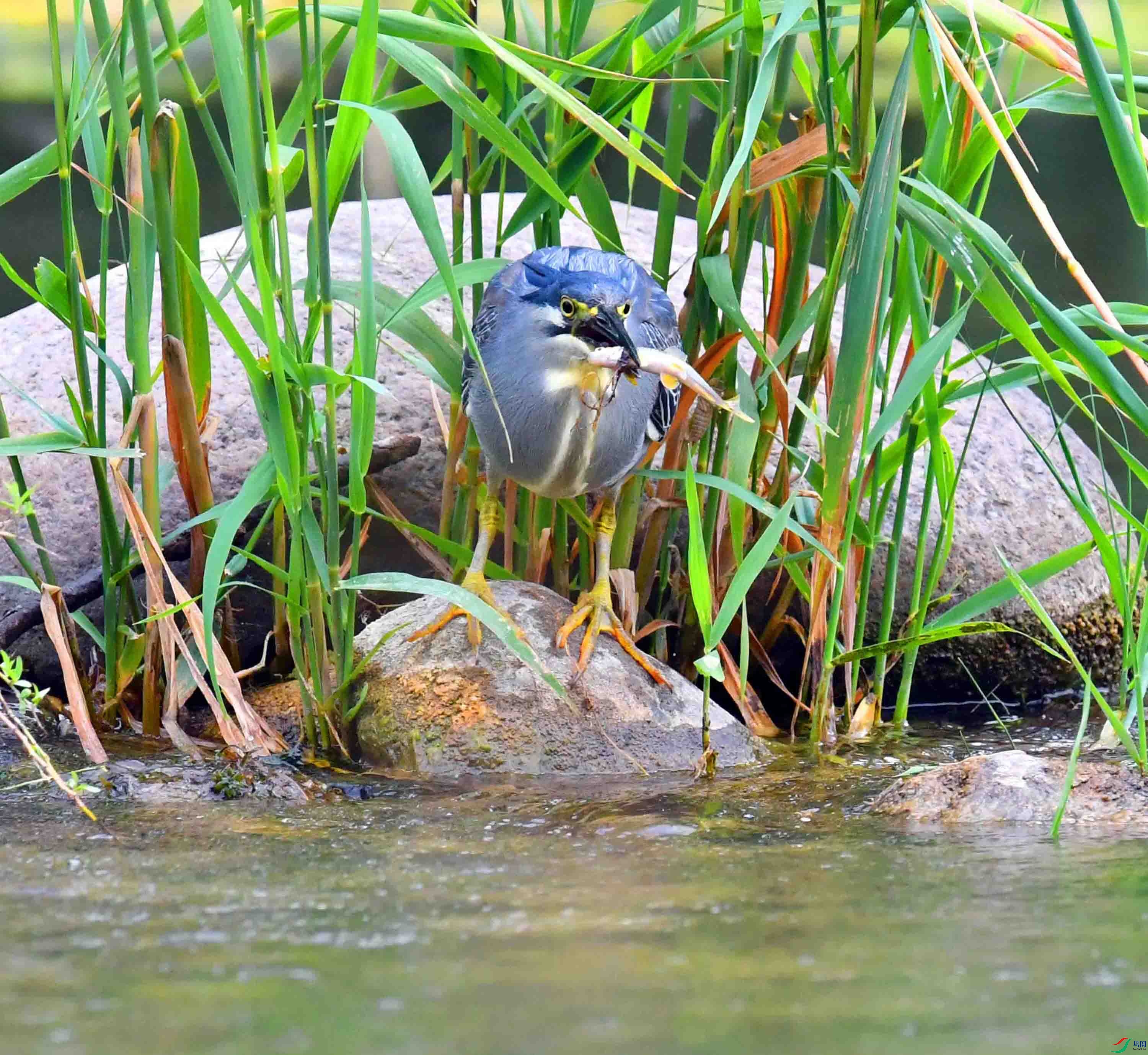 DSC_0935.JPG