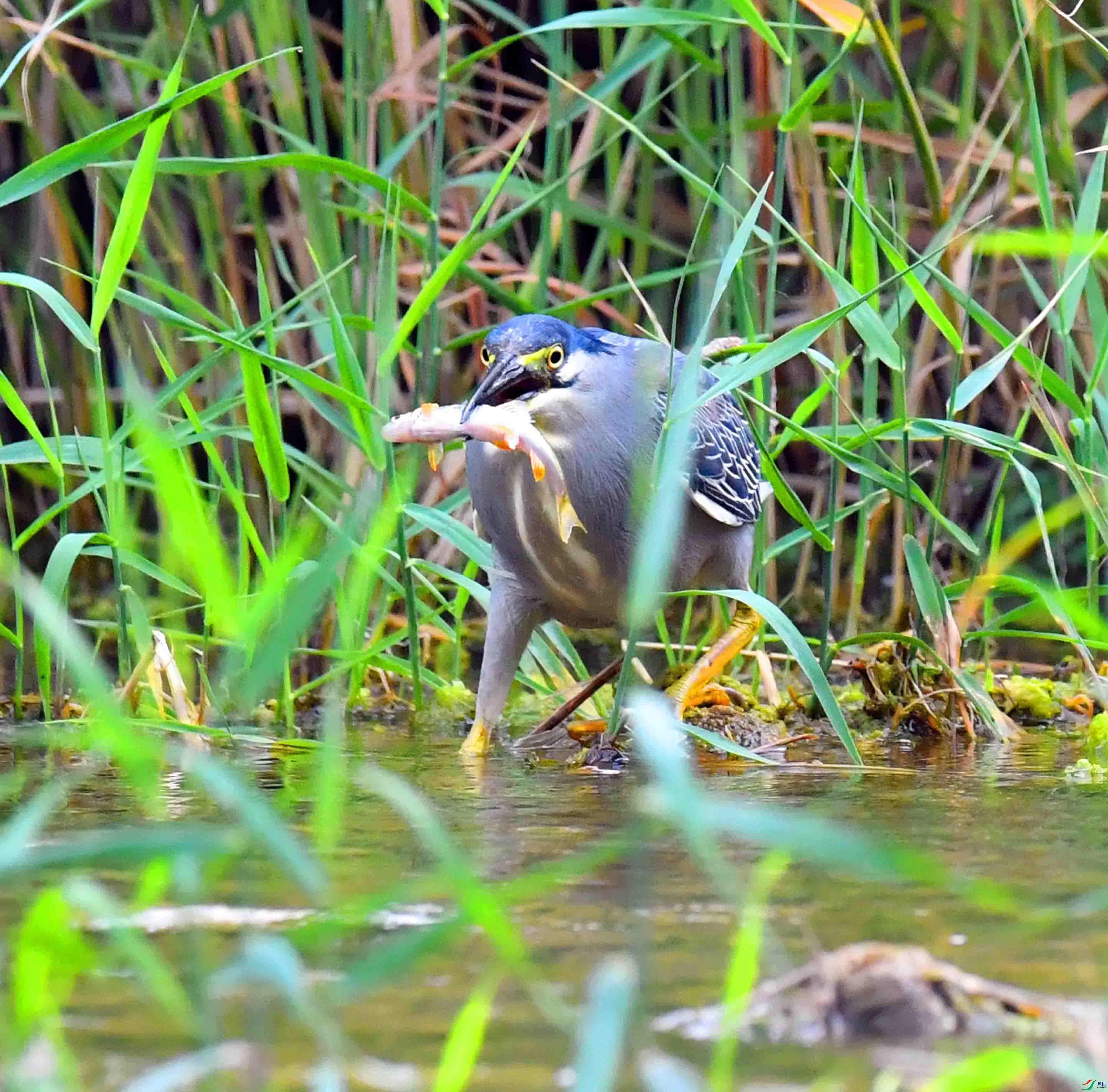 DSC_0986.JPG