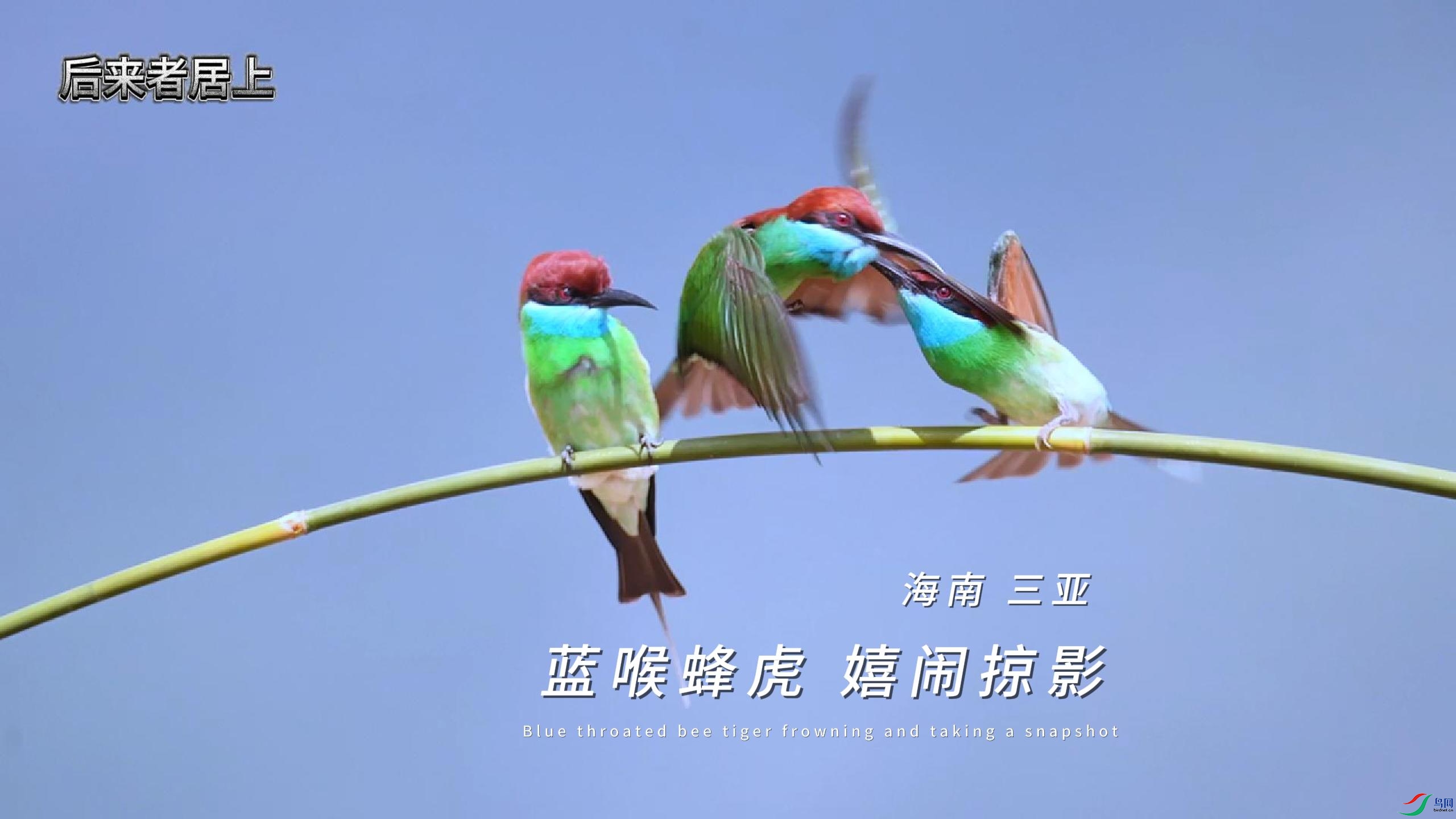 ���� ���� �����仢 ������Ӱ-����.jpg