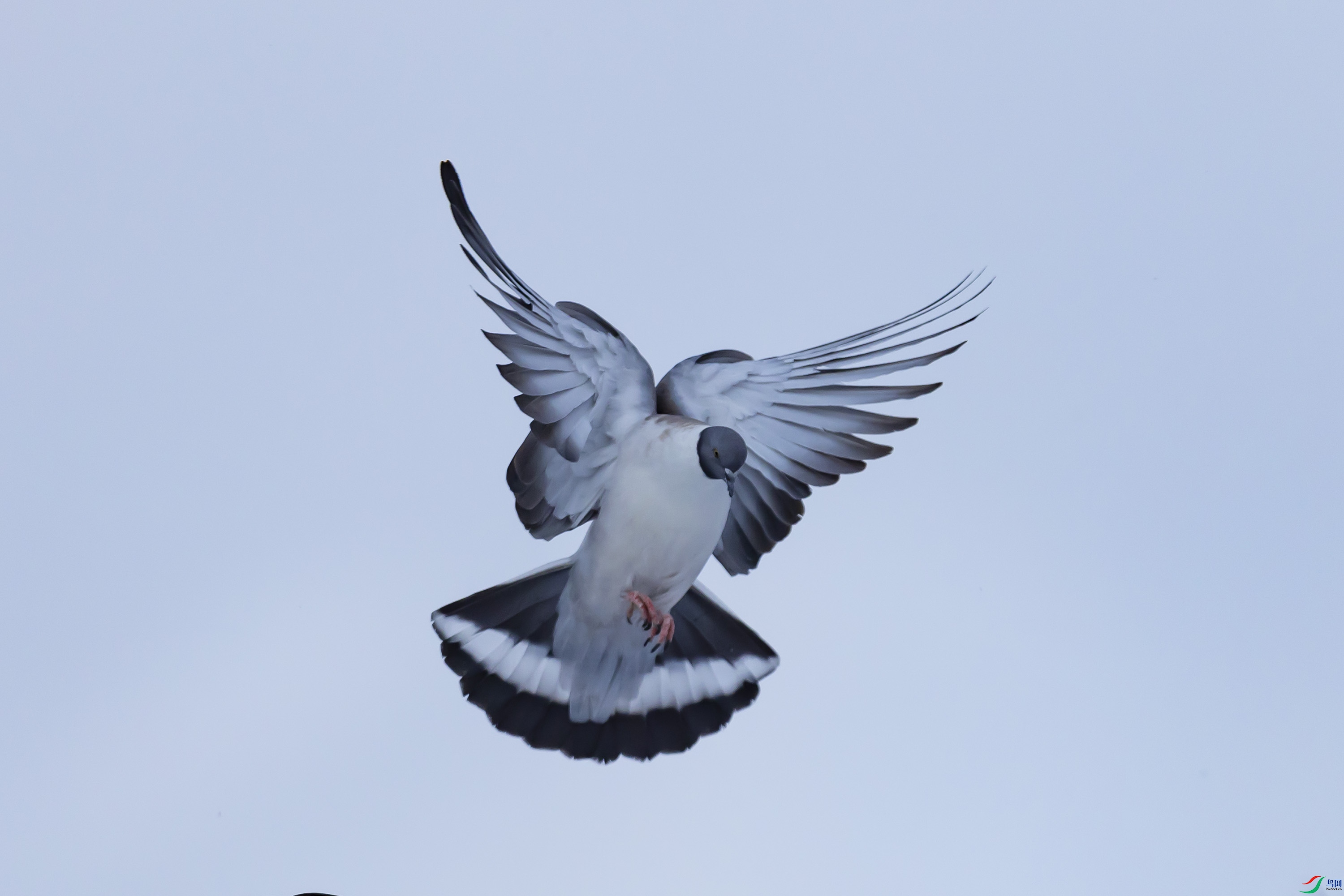 _L3A82179.jpg