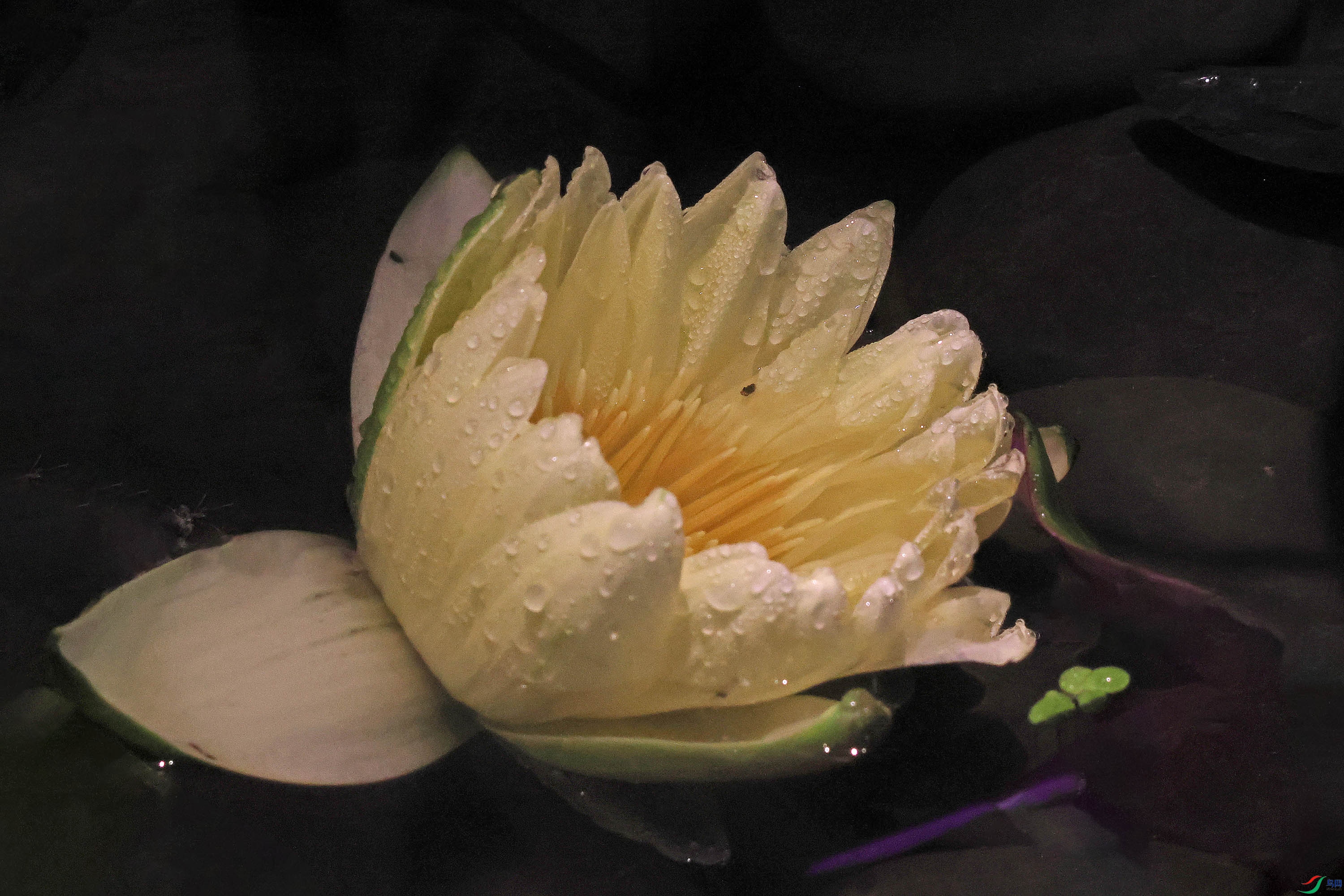2G9A5098.JPG