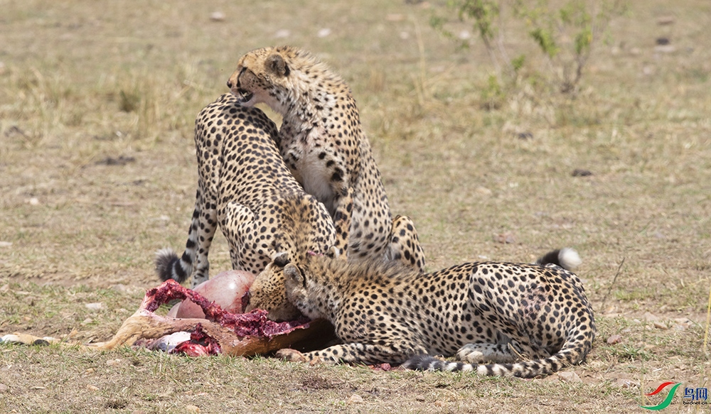 ���ޡ��Ա� ��.jpg