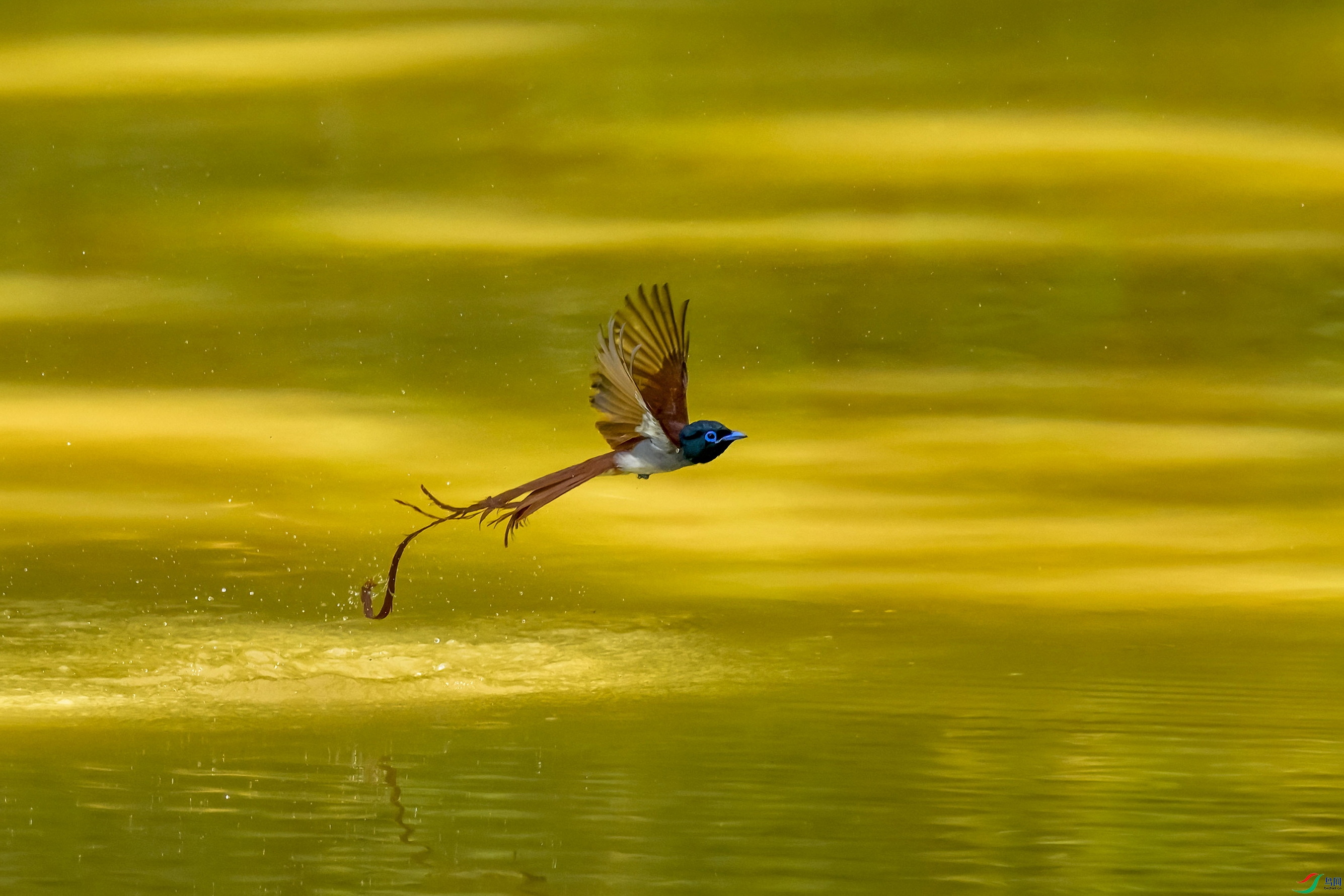 _DSC8570 ���� F003.jpg