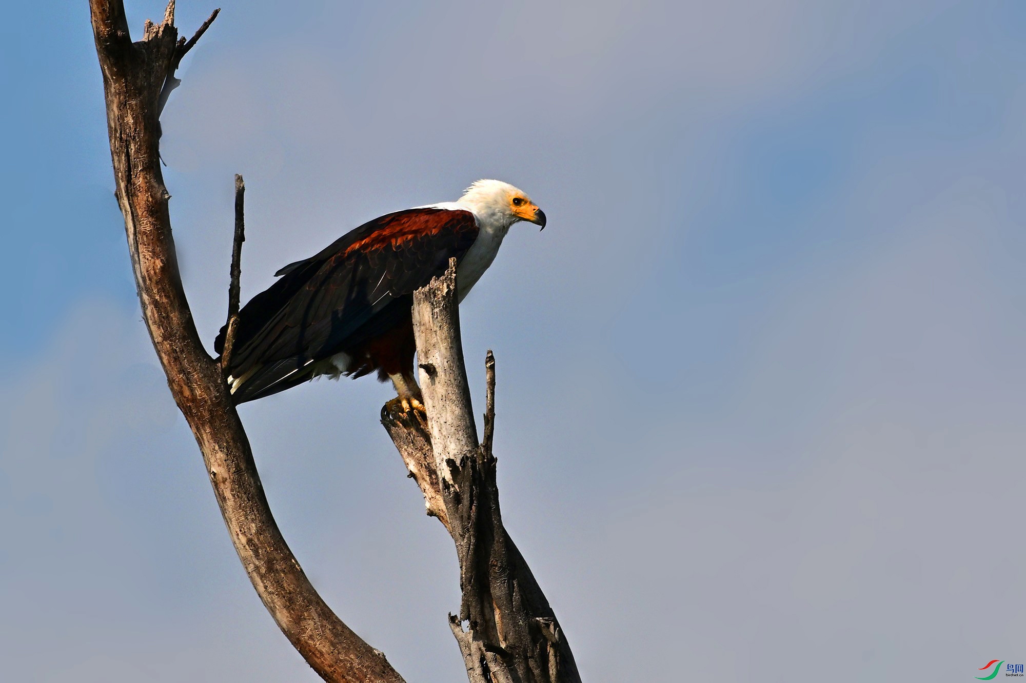 DSC_4665_.jpg