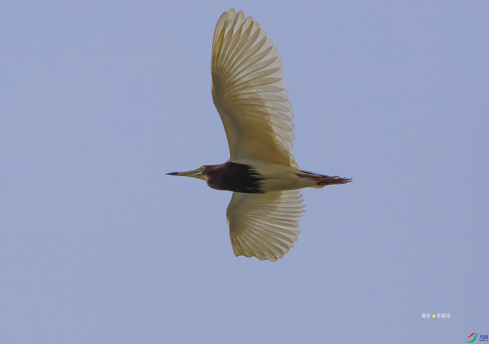 20250507-_DSC4076С.jpg