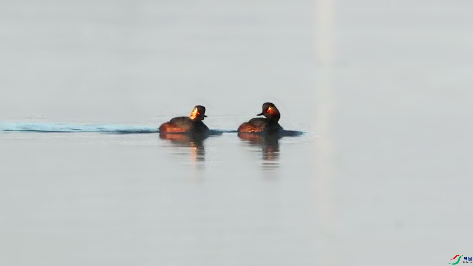 image7.jpg