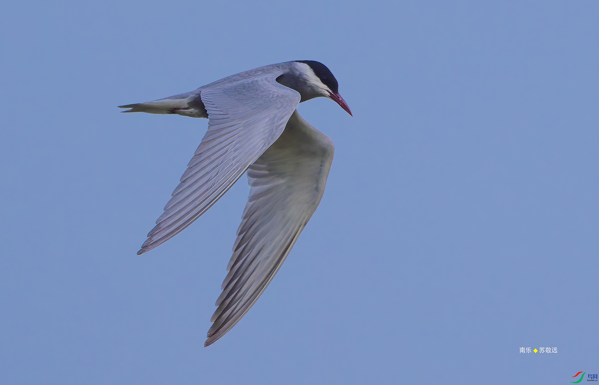 20250507-_DSC4243С.jpg