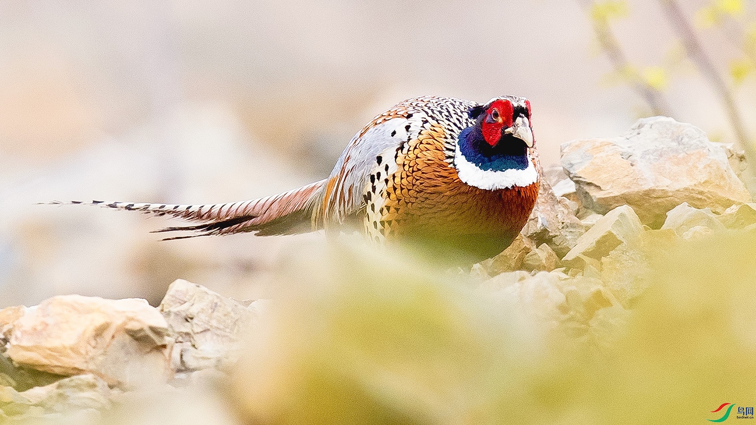 _90I9730 ����.jpg