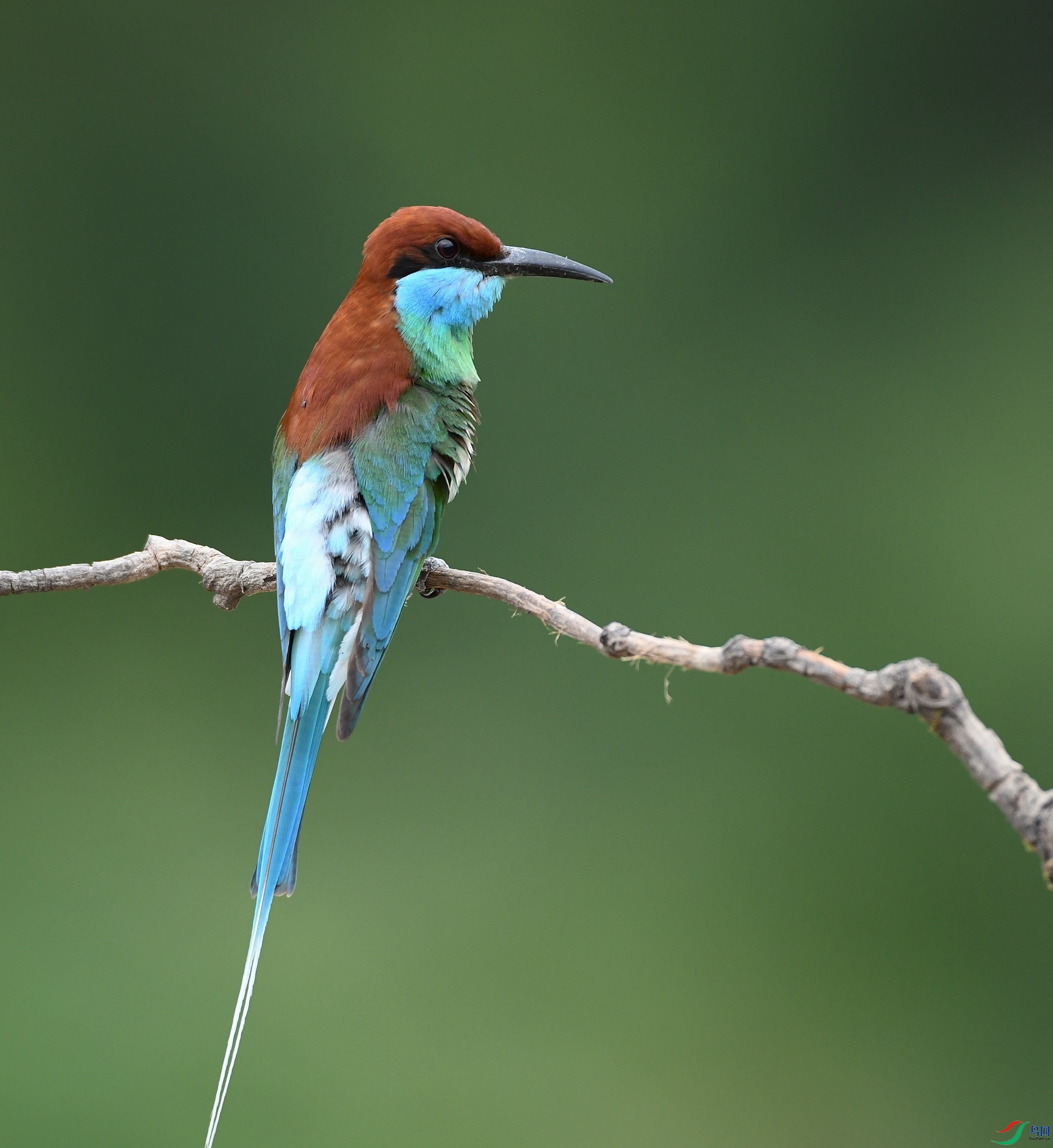 DSC_4269.jpg