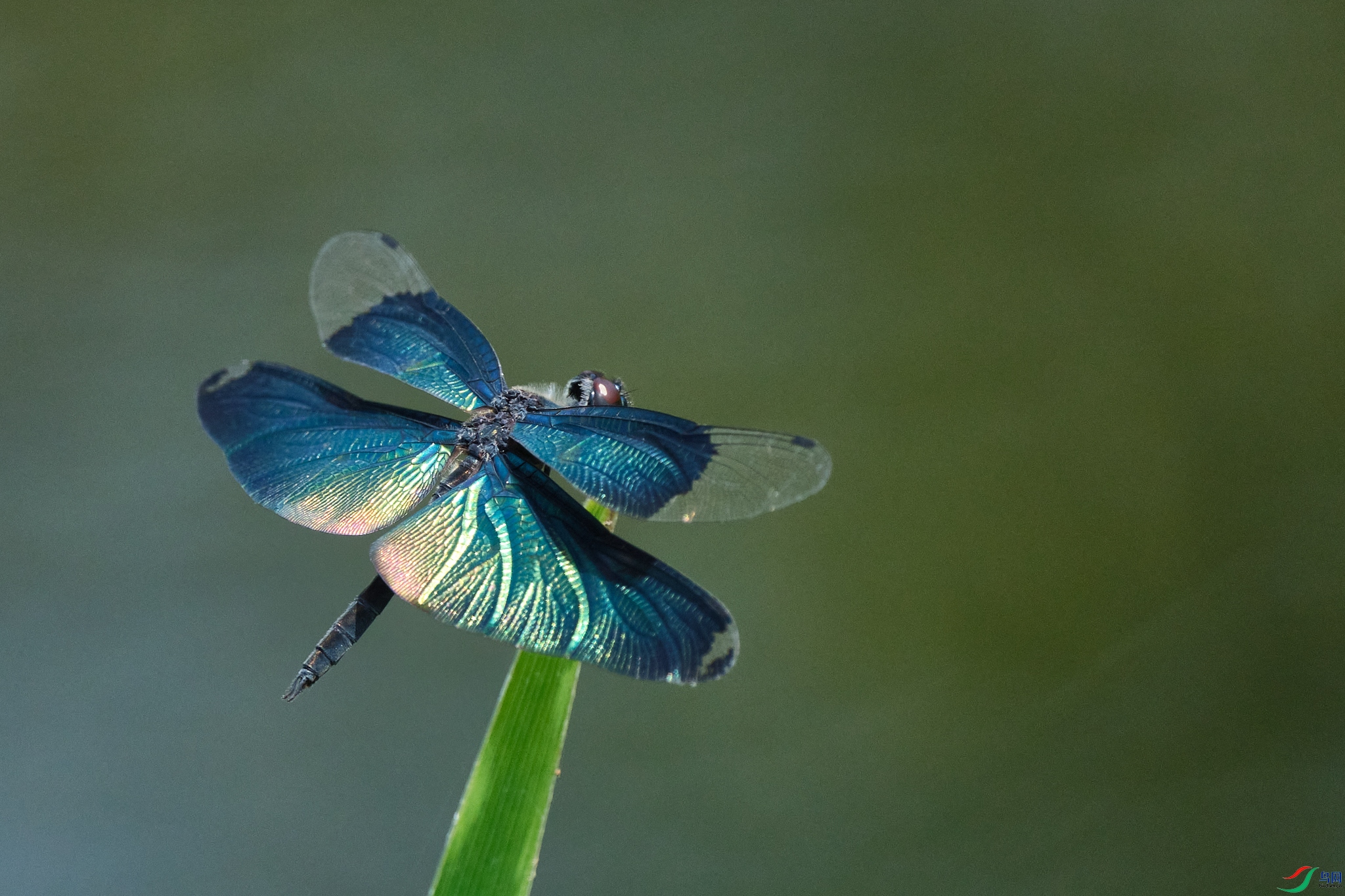 DSCF2183 1.jpg