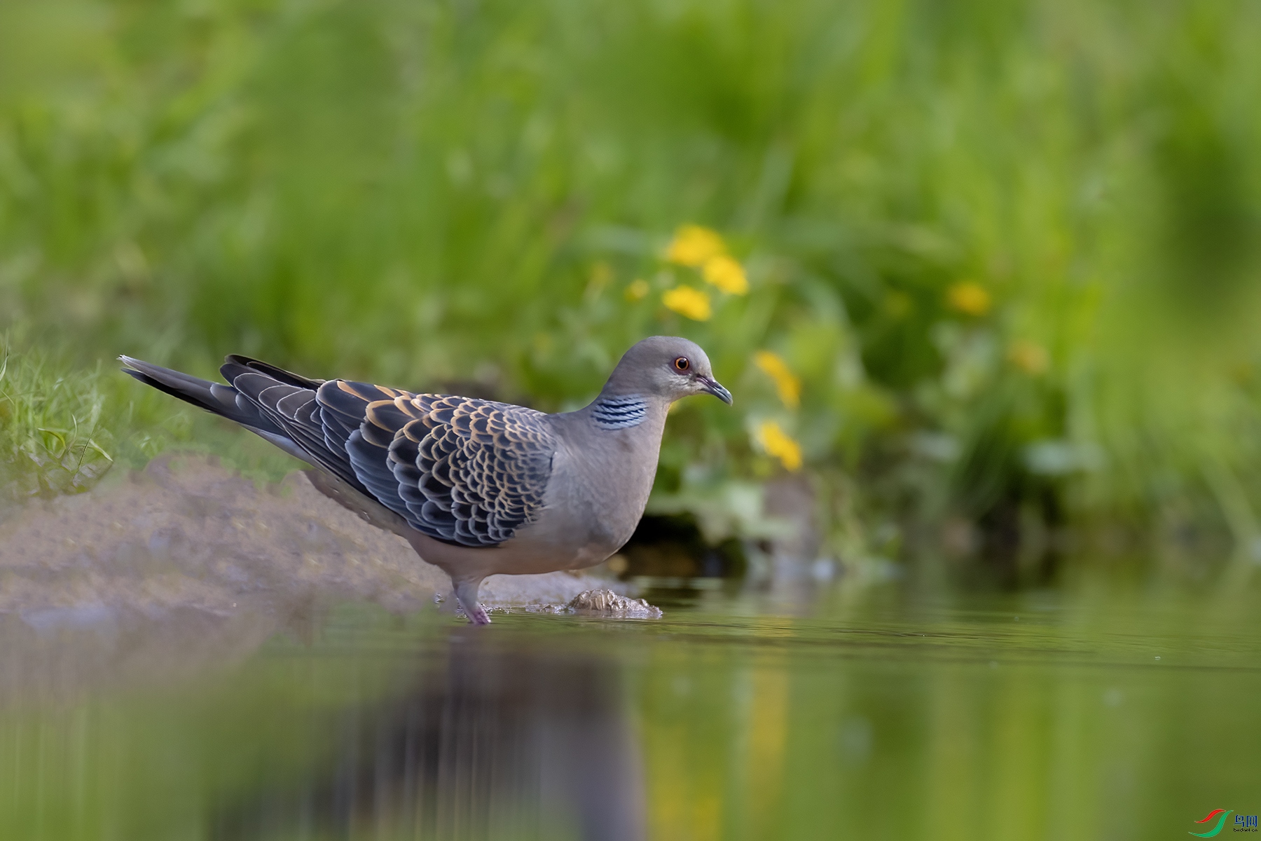 488A9217 ����.jpg