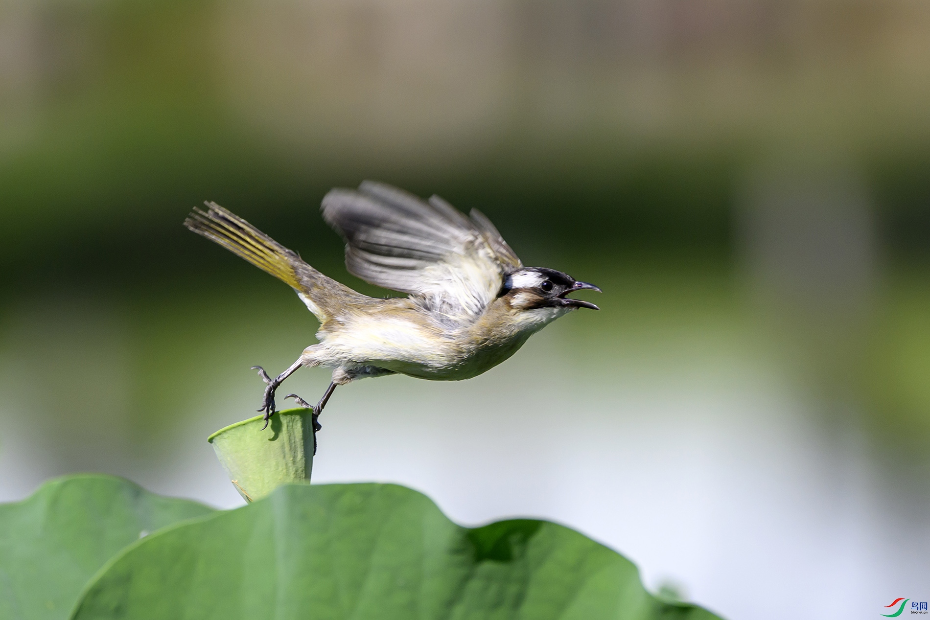 DSC_5403 0.jpg