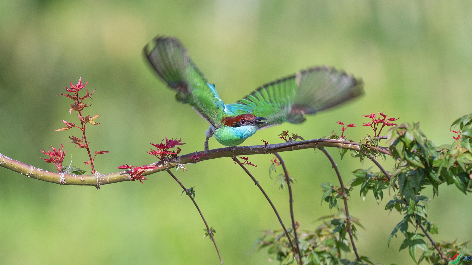 _DSC6624 ����-1.jpg