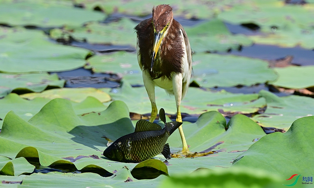 DSC_2415.JPG