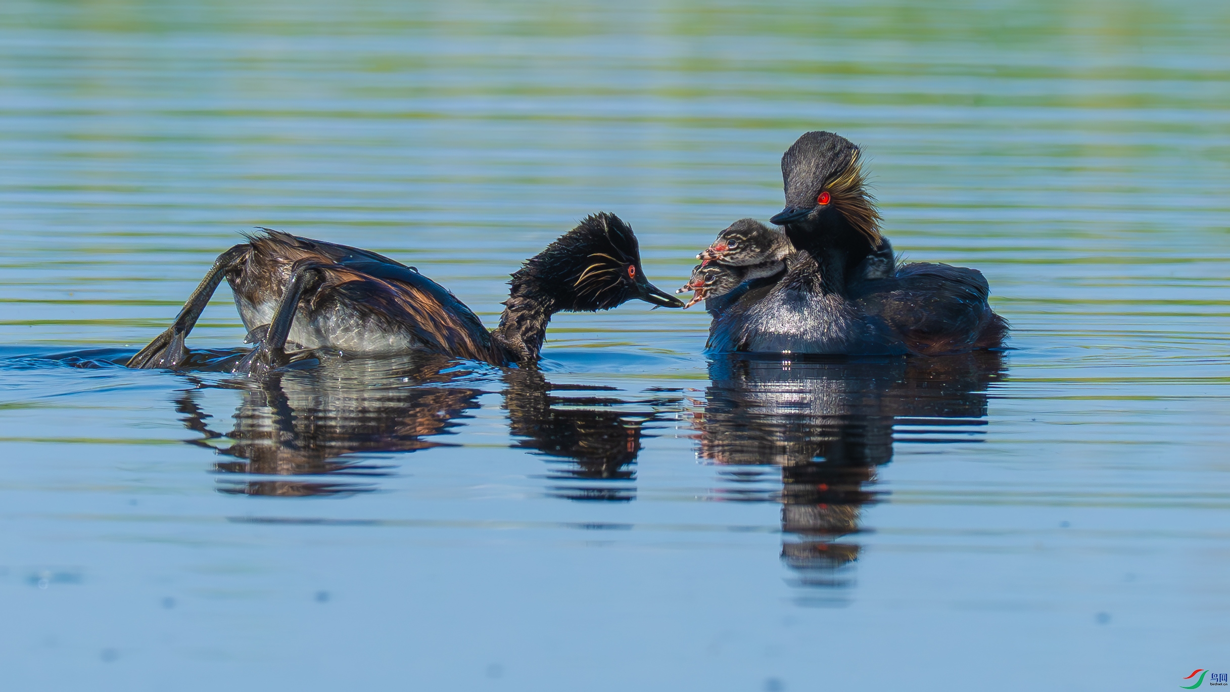 _DSC4470-.jpg