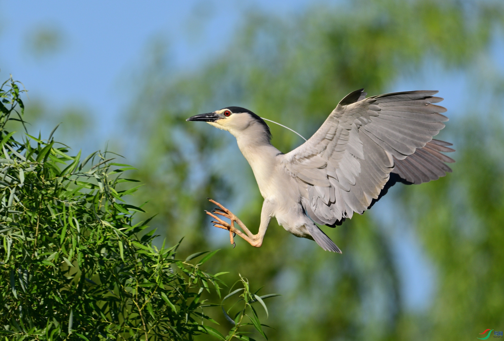 DSC_6327_202.JPG