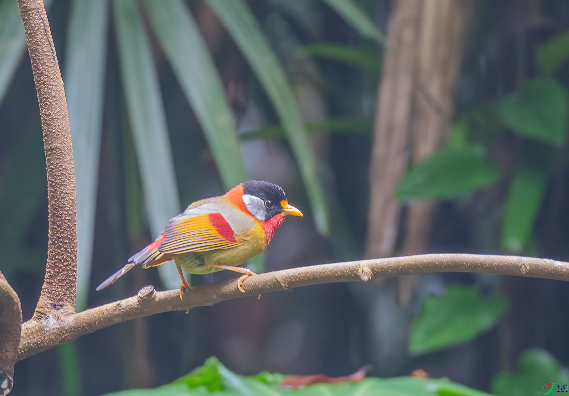 DSC_7913.jpg