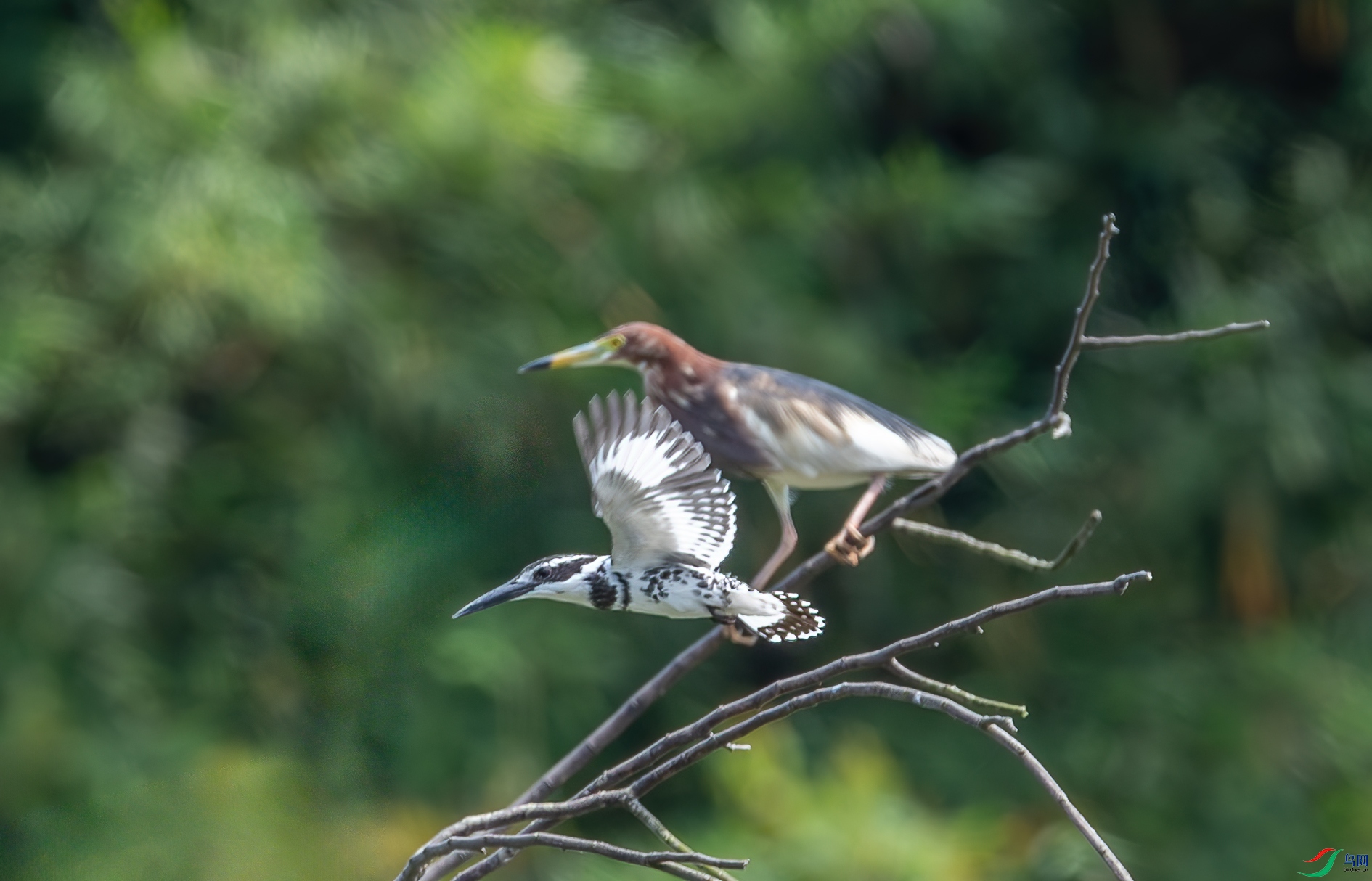 DSC_3888.jpg
