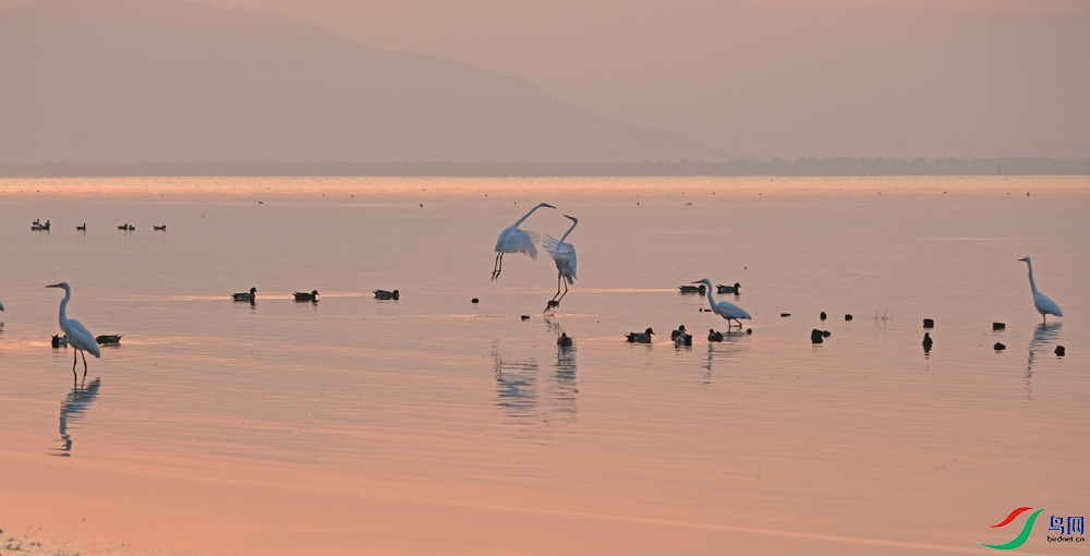 DSCF6714.1.jpg