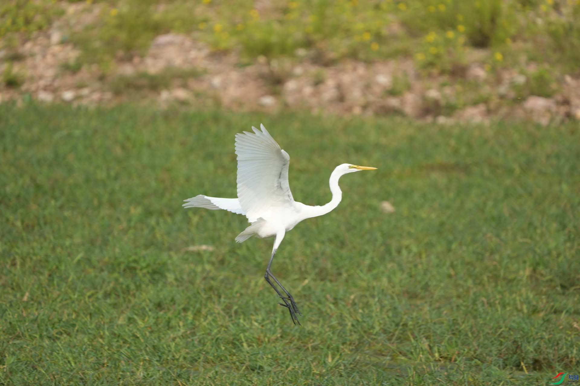 DSC04234.jpg