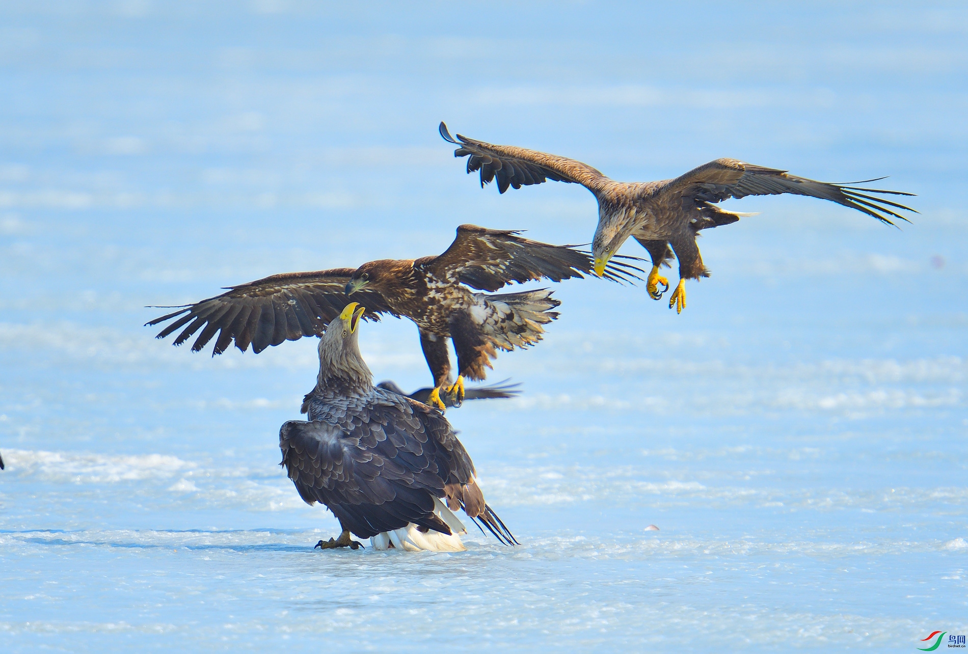 DSC_2844.JPG