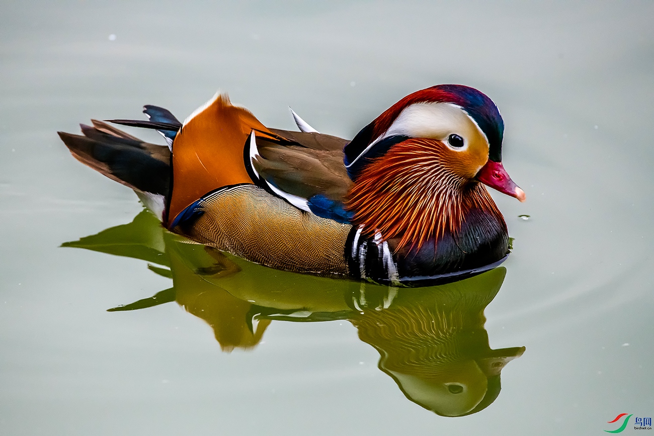 DSC_6962A.jpg