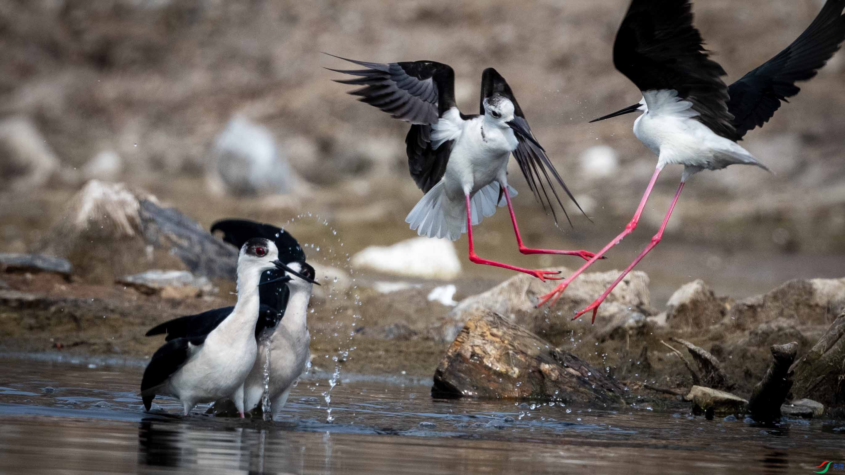 _LYF3019 ����.jpg1.jpg