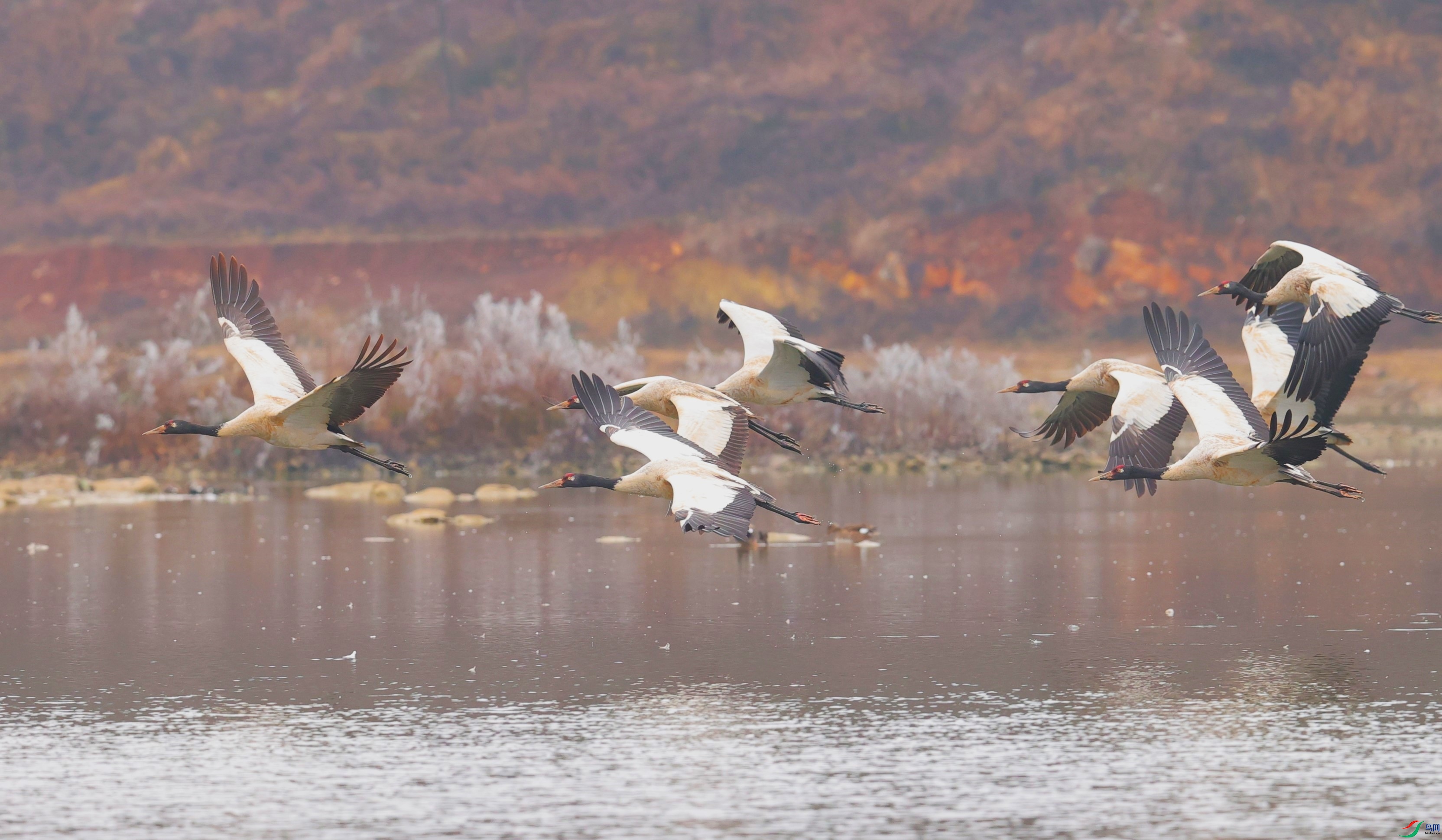 һ·ǰ�� (2).JPG