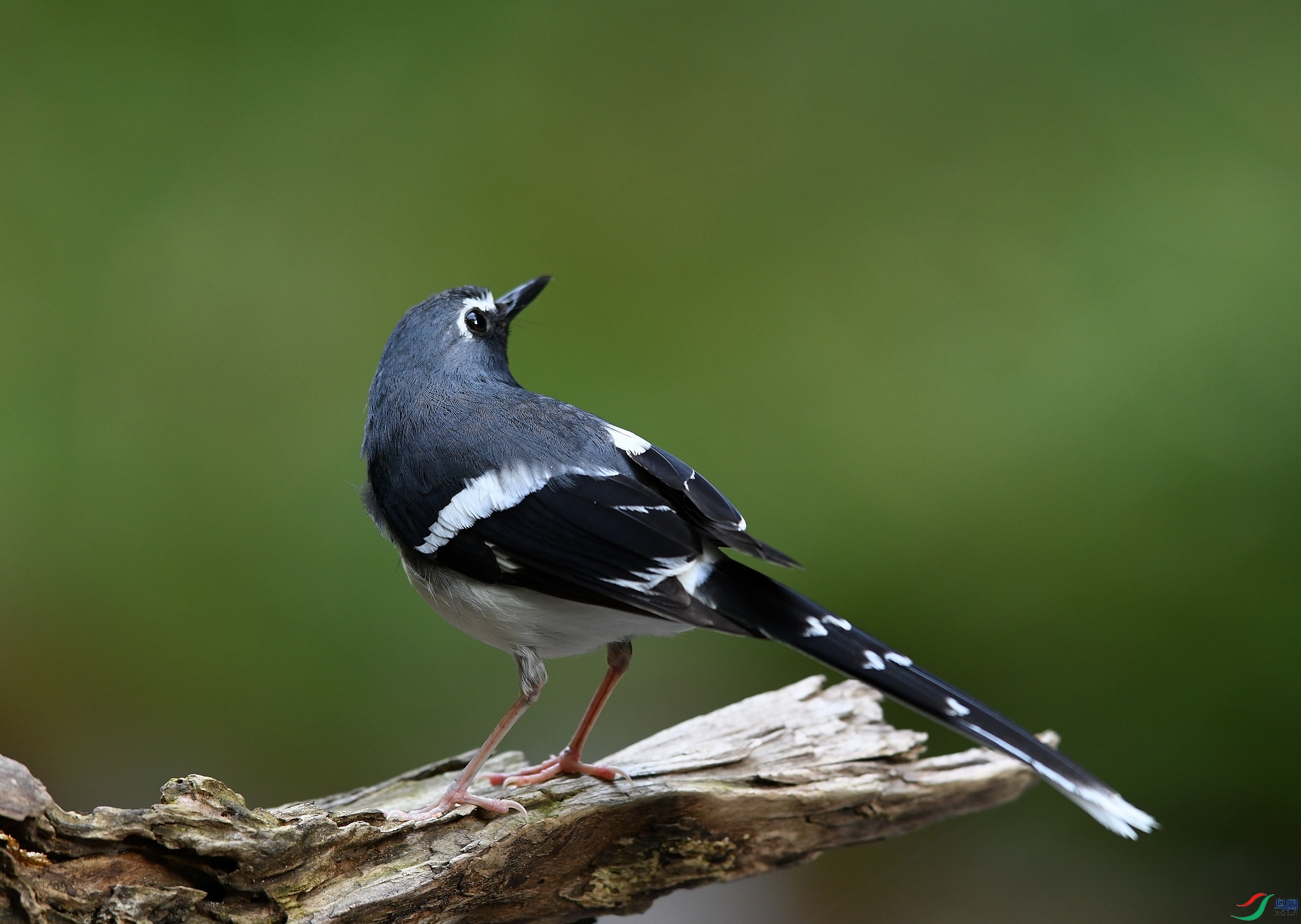 DSC_7123.jpg