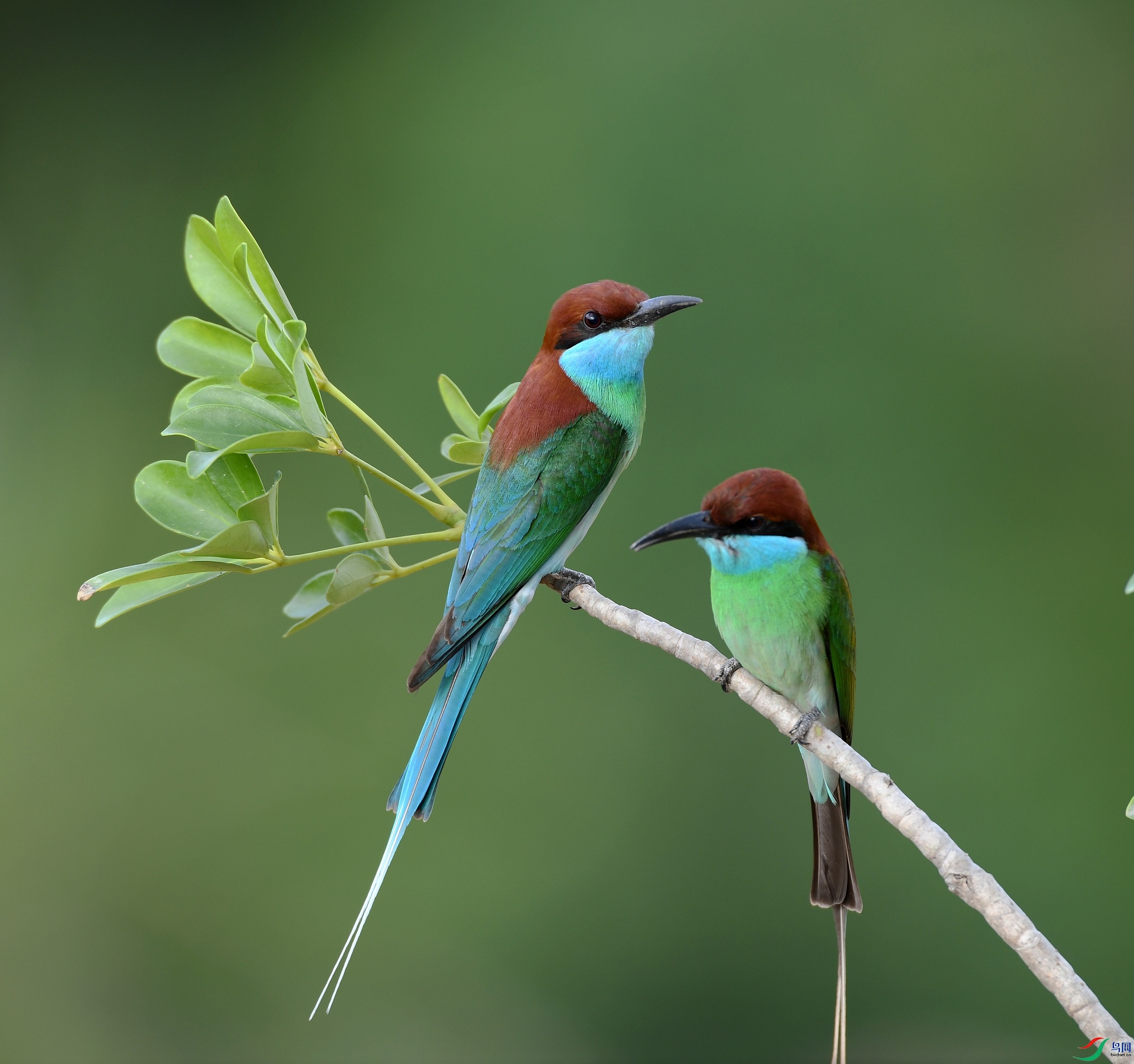 DSC_1606.jpg