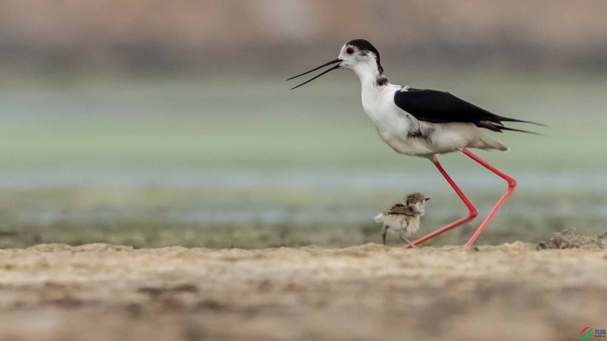 _LYF0106 ����.jpg