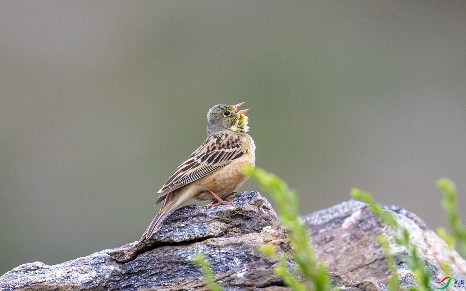 DSC_1760.jpg